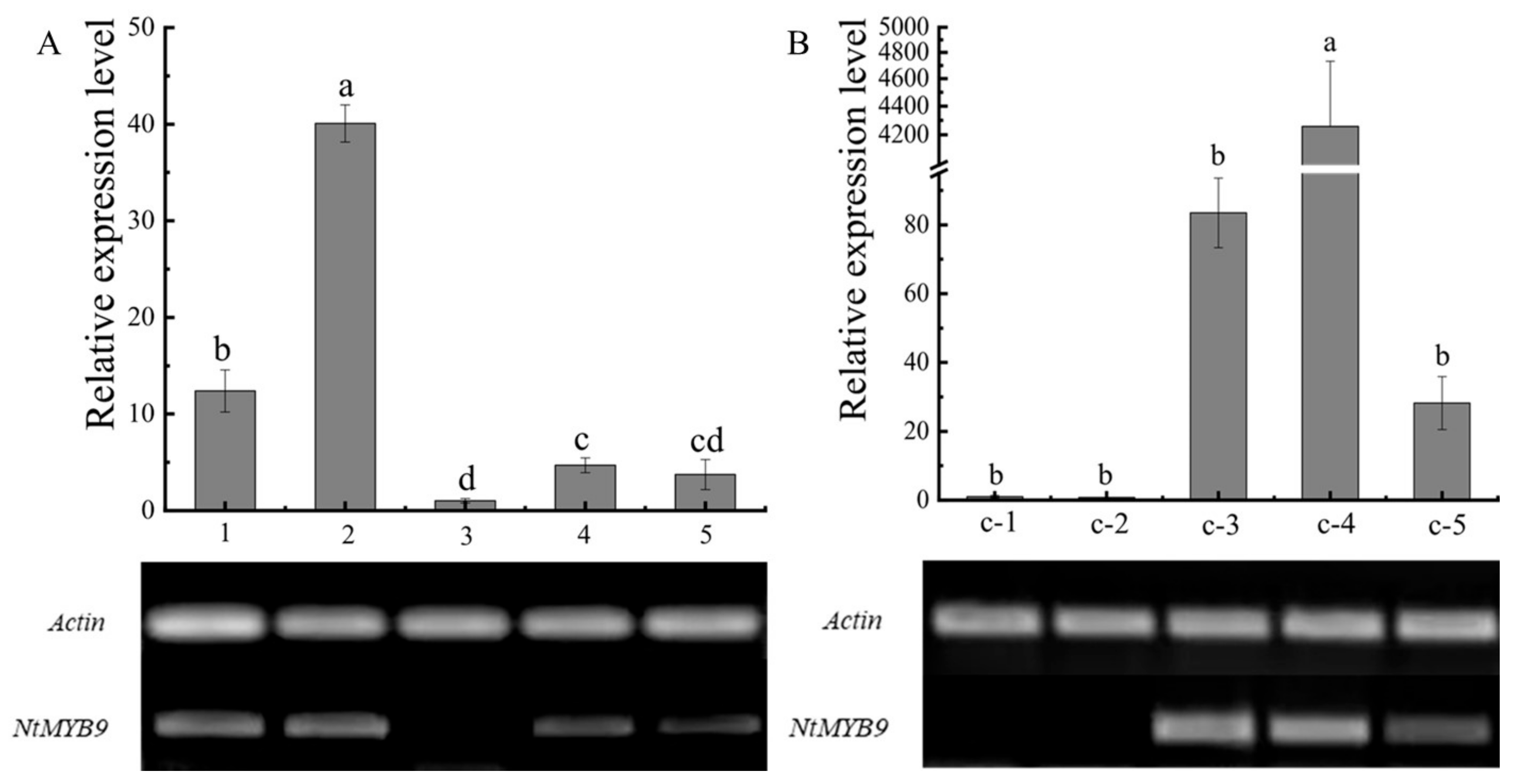 Horticulturae 08 00528 g002 550