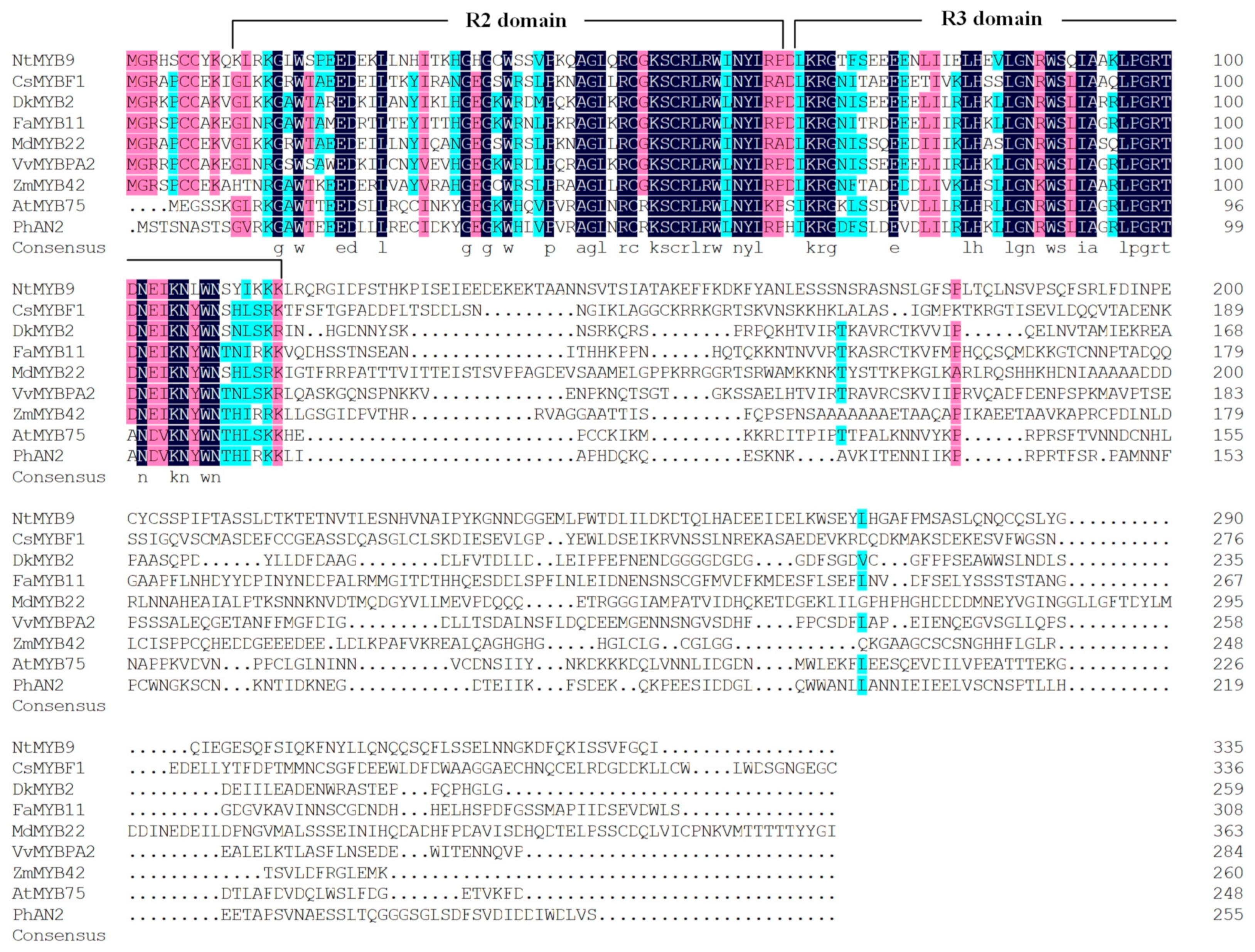 Horticulturae 08 00528 g003 550