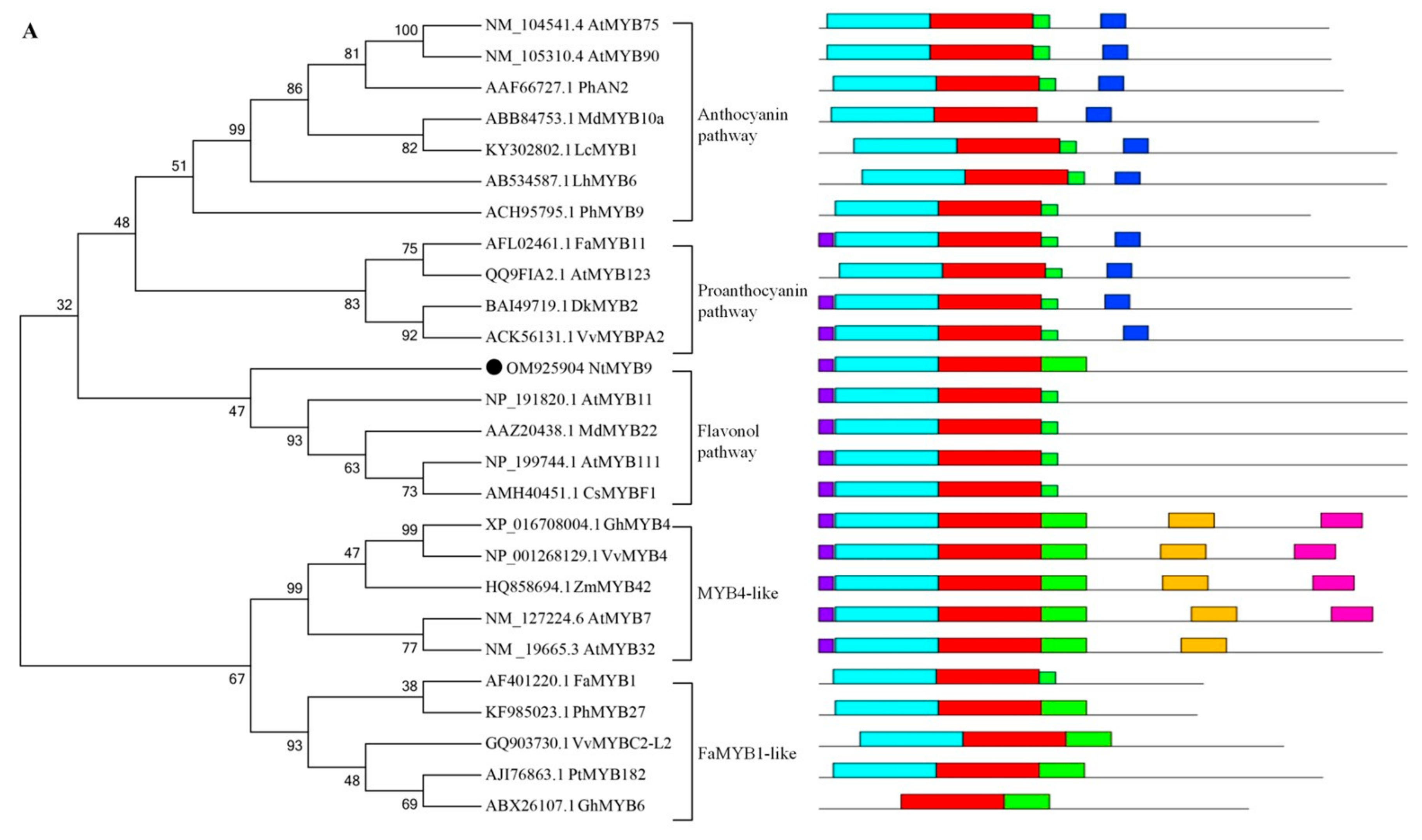 Horticulturae 08 00528 g004a 550