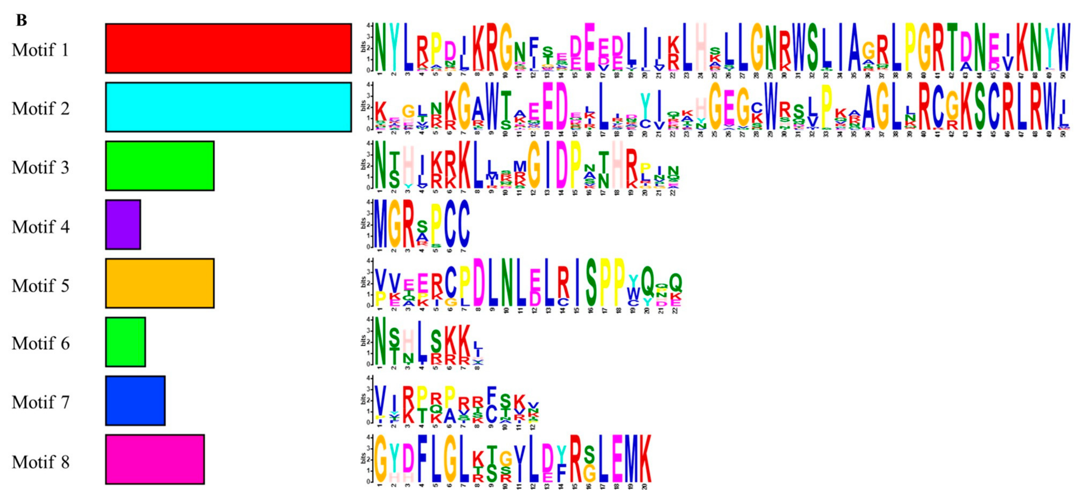 Horticulturae 08 00528 g004b 550