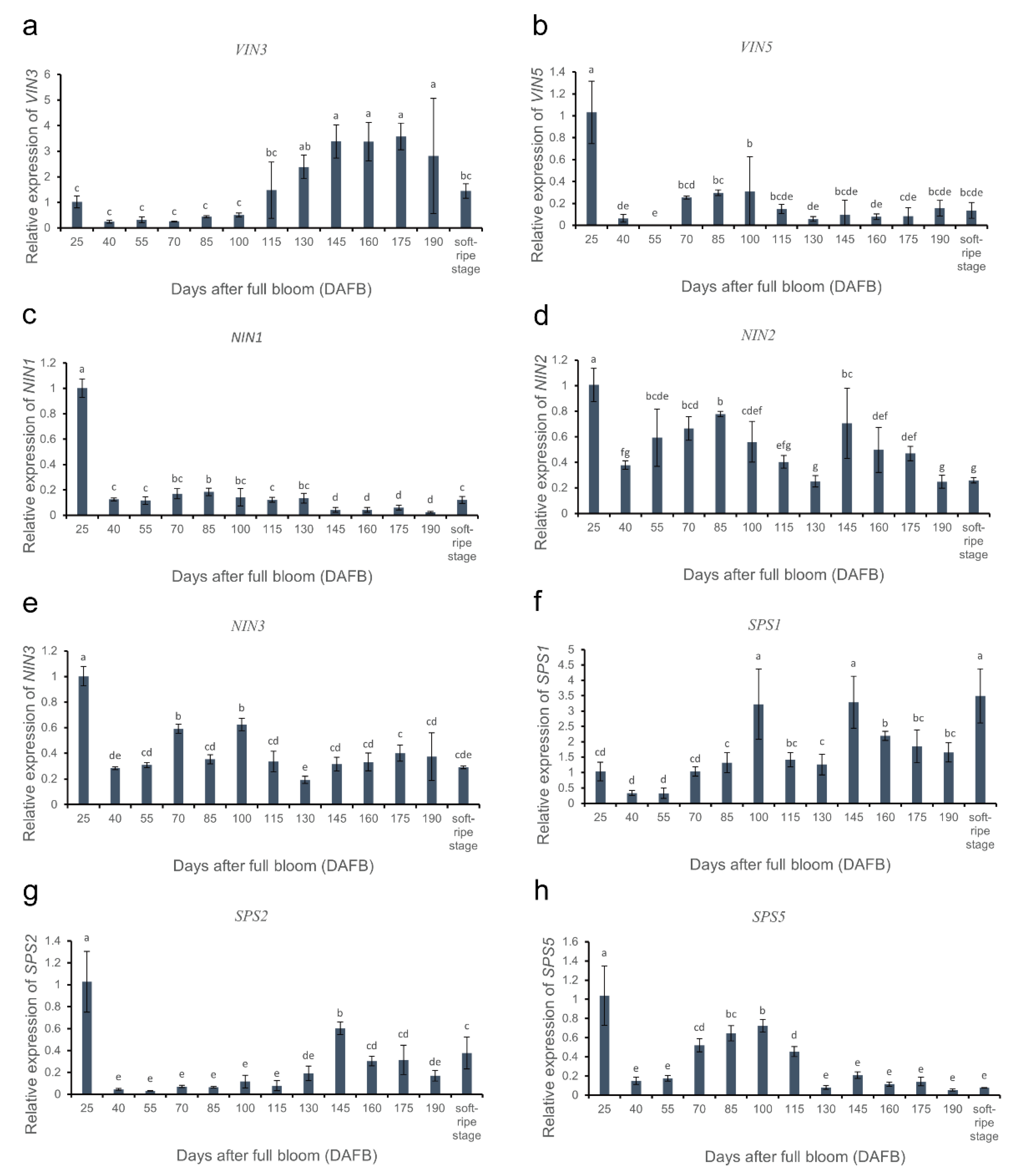 Horticulturae 08 00529 g005