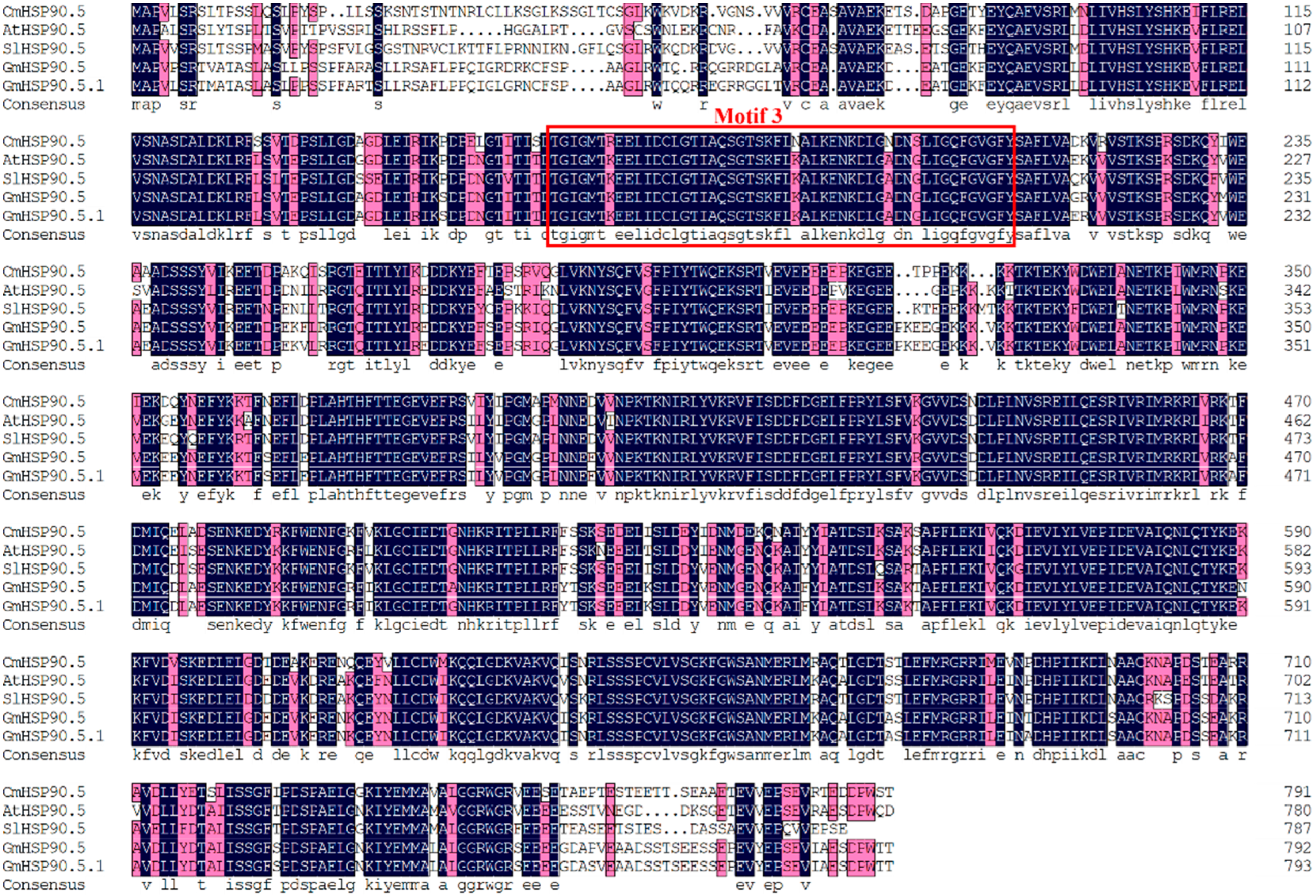 Horticulturae 08 00532 g001