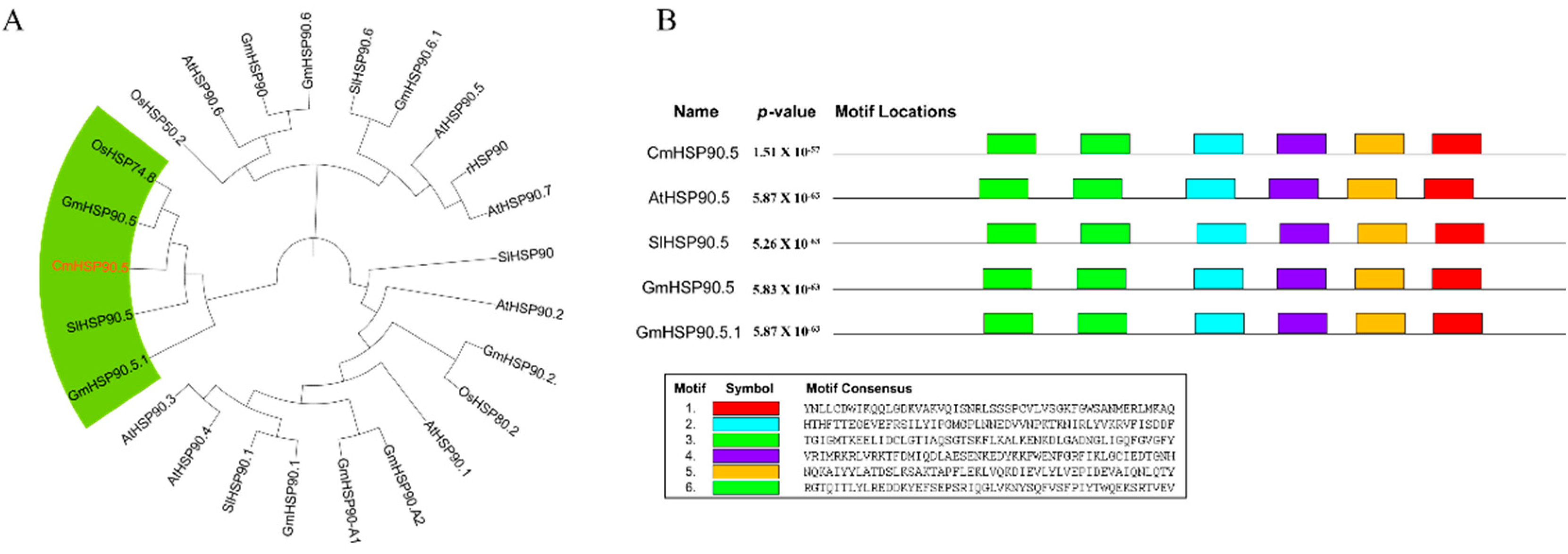 Horticulturae 08 00532 g002