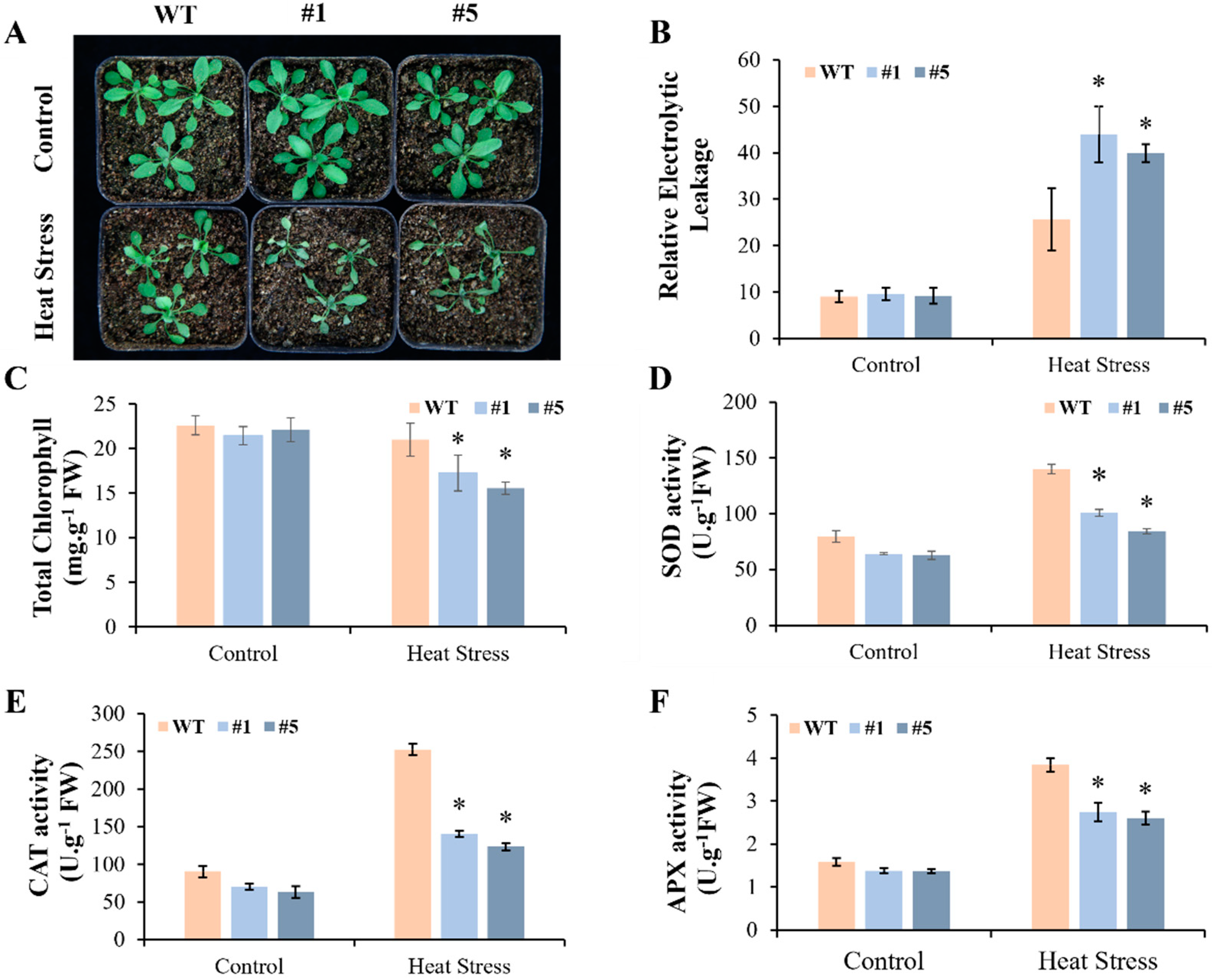 Horticulturae 08 00532 g006