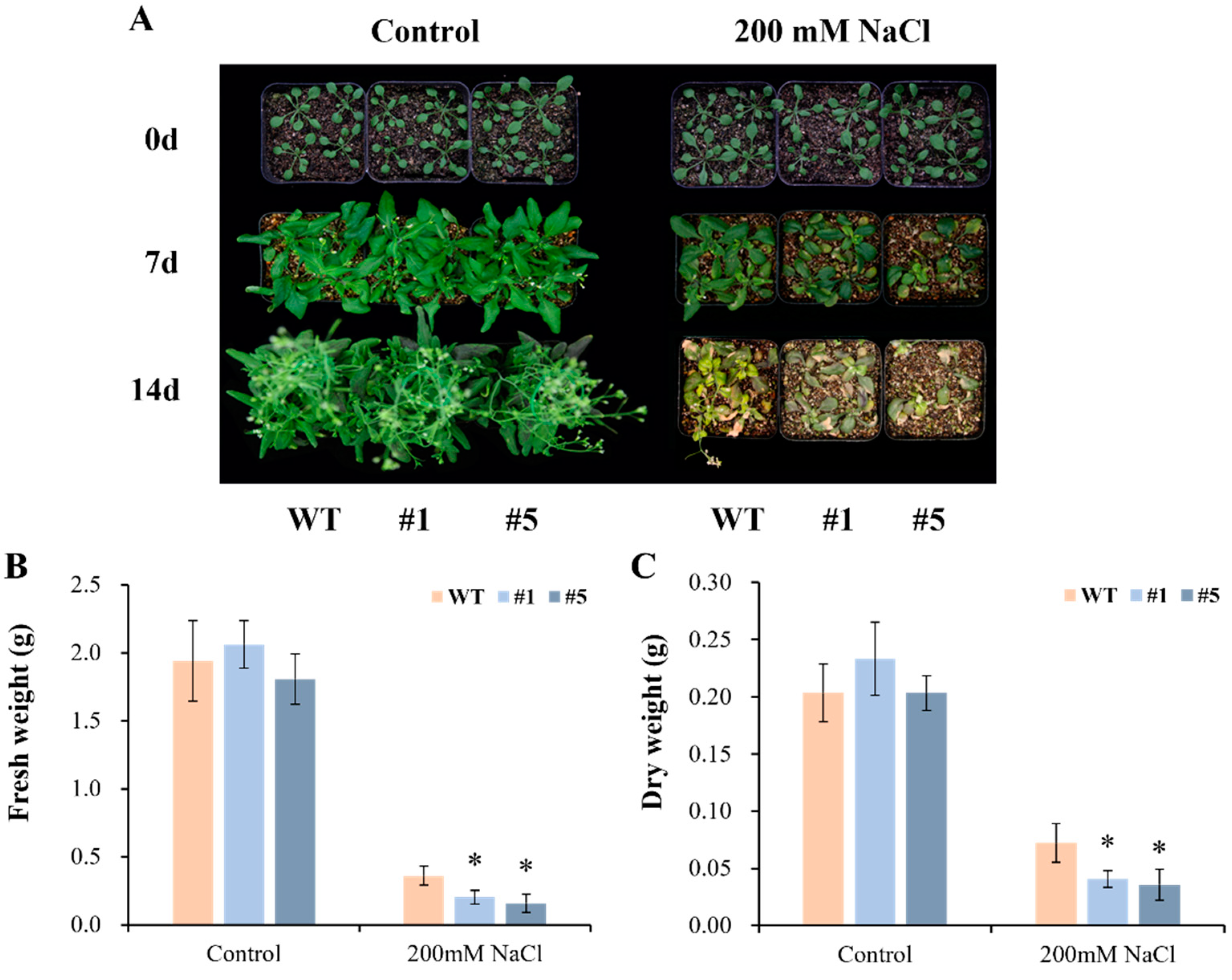 Horticulturae 08 00532 g008
