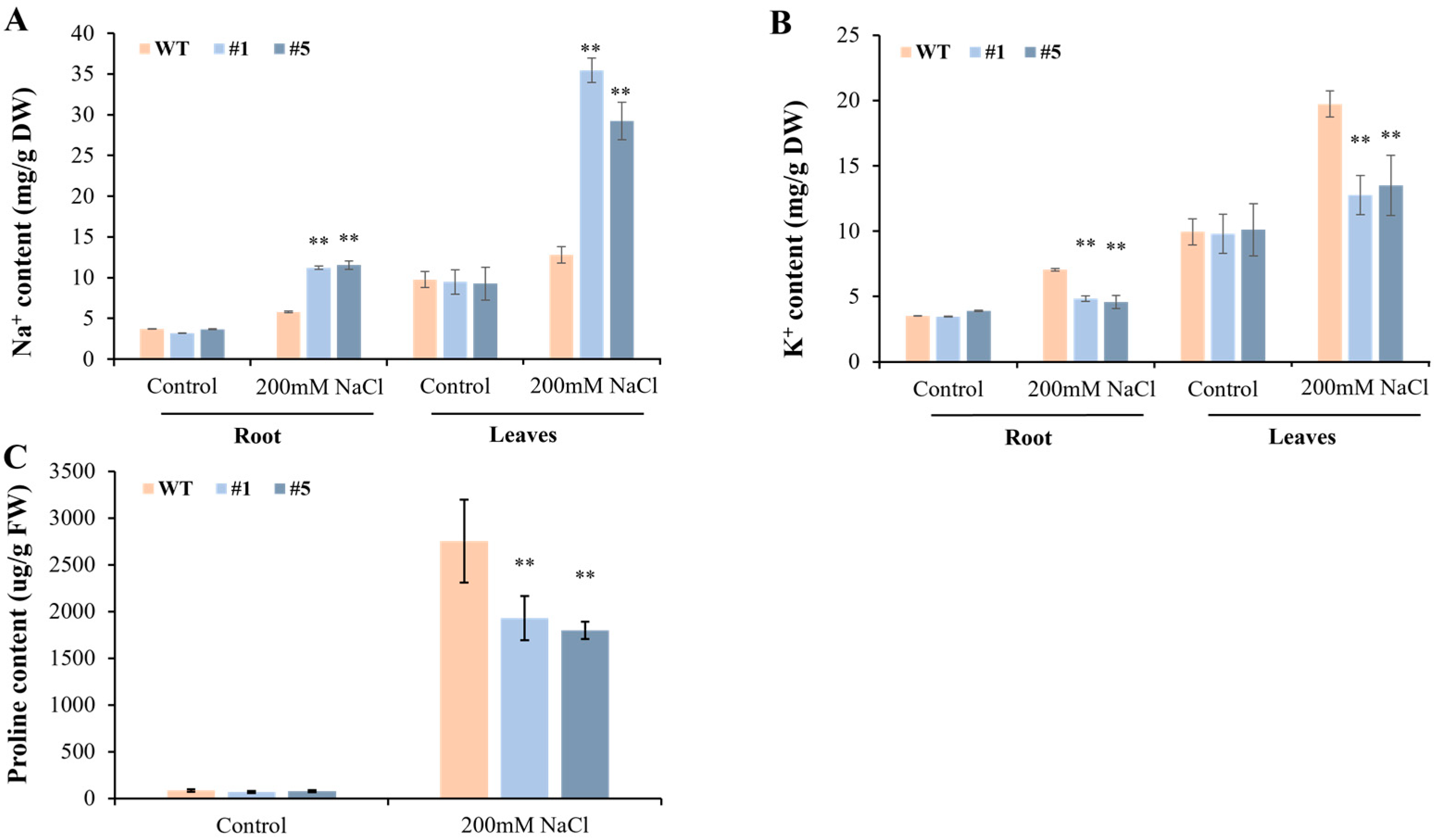 Horticulturae 08 00532 g010