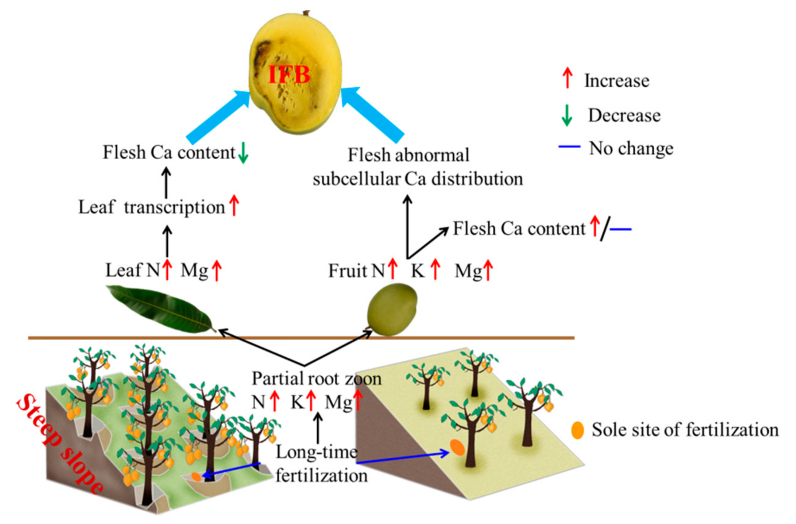 Horticulturae 08 00533 g014