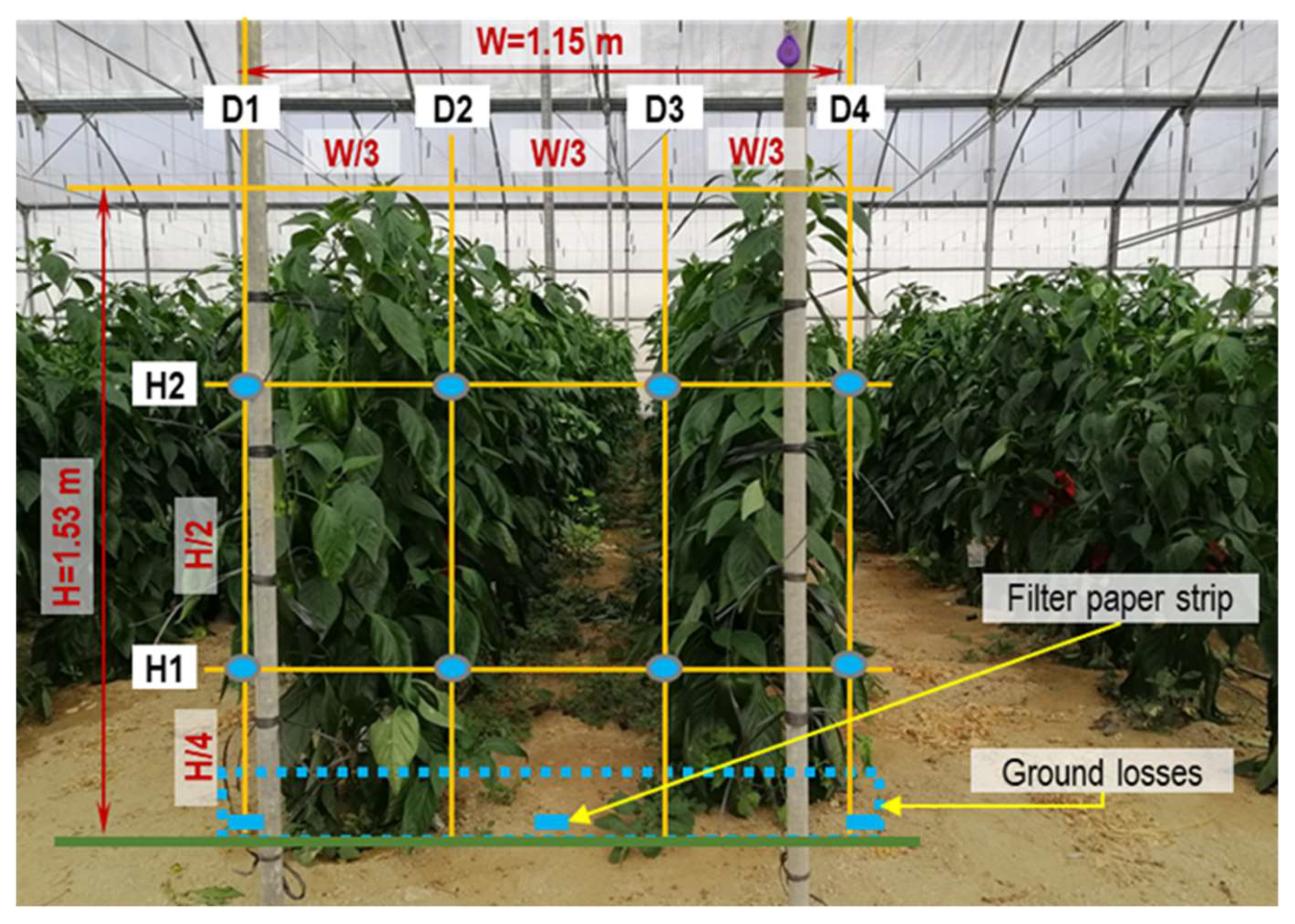 Horticulturae 08 00541 g004
