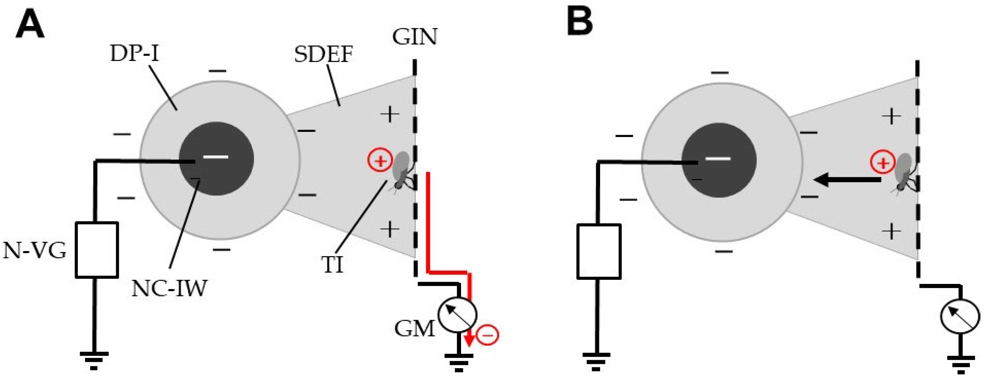 Horticulturae 08 00543 g002 Horticulturae 08 00543 g002