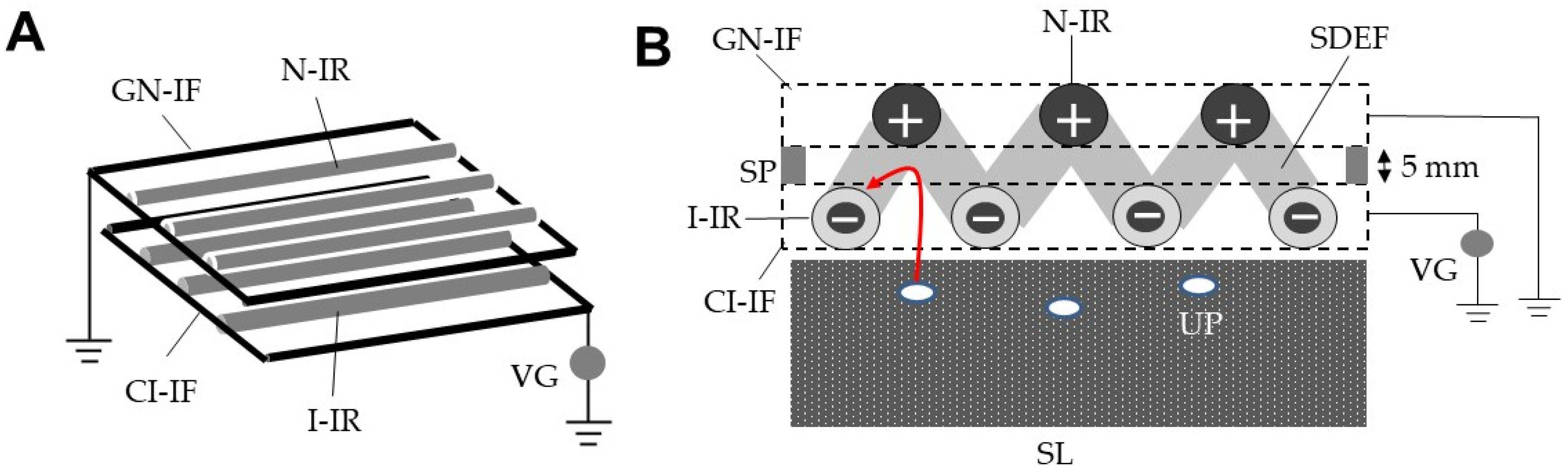Horticulturae 08 00543 g006 Horticulturae 08 00543 g006