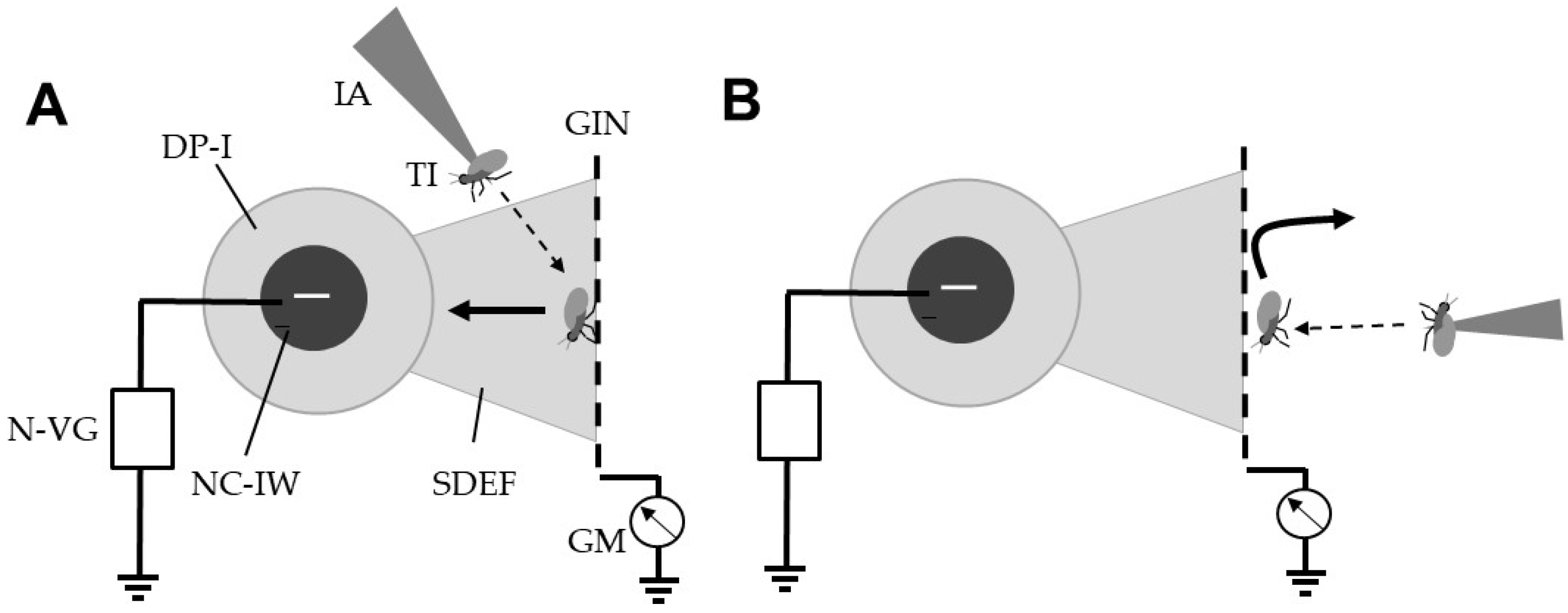 Horticulturae 08 00543 g007 Horticulturae 08 00543 g007