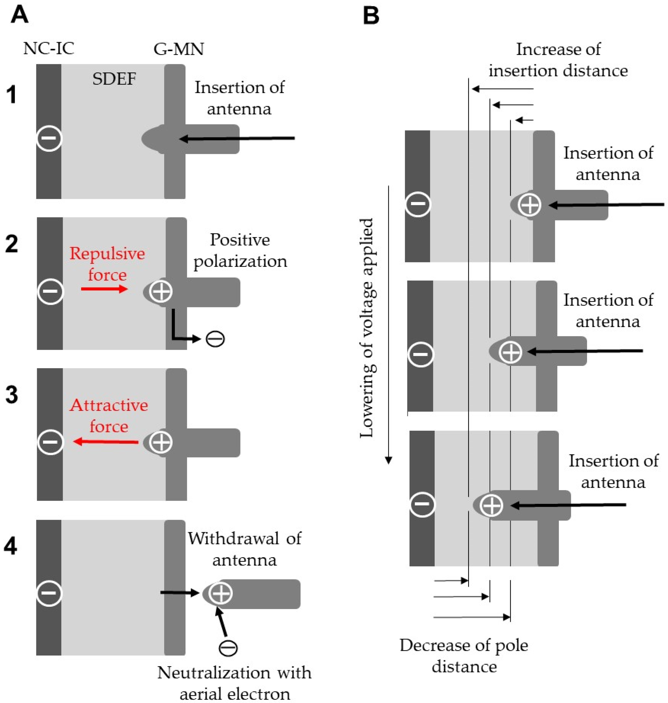 Horticulturae 08 00543 g009 Horticulturae 08 00543 g009