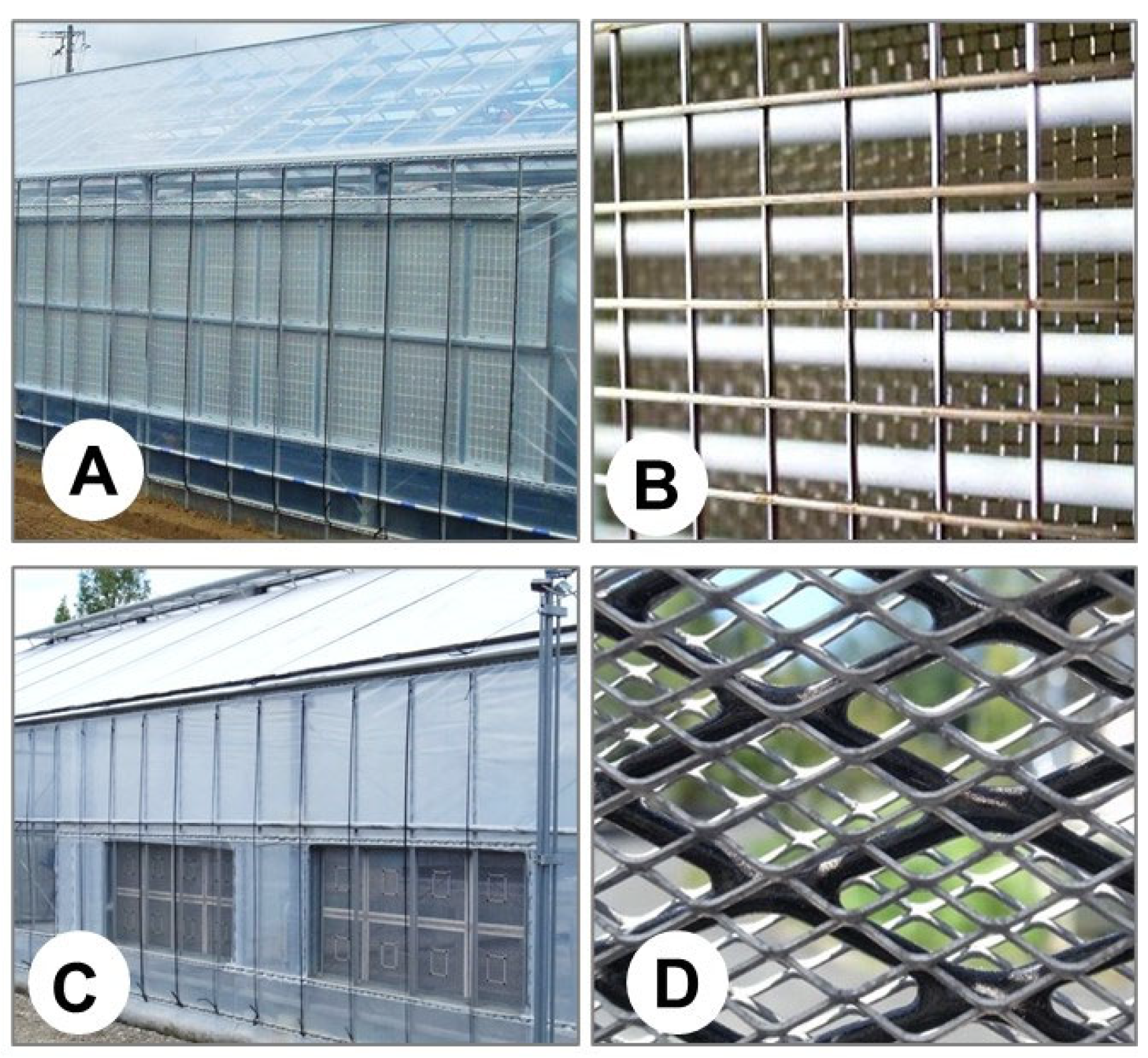 Horticulturae 08 00543 g012 Horticulturae 08 00543 g012