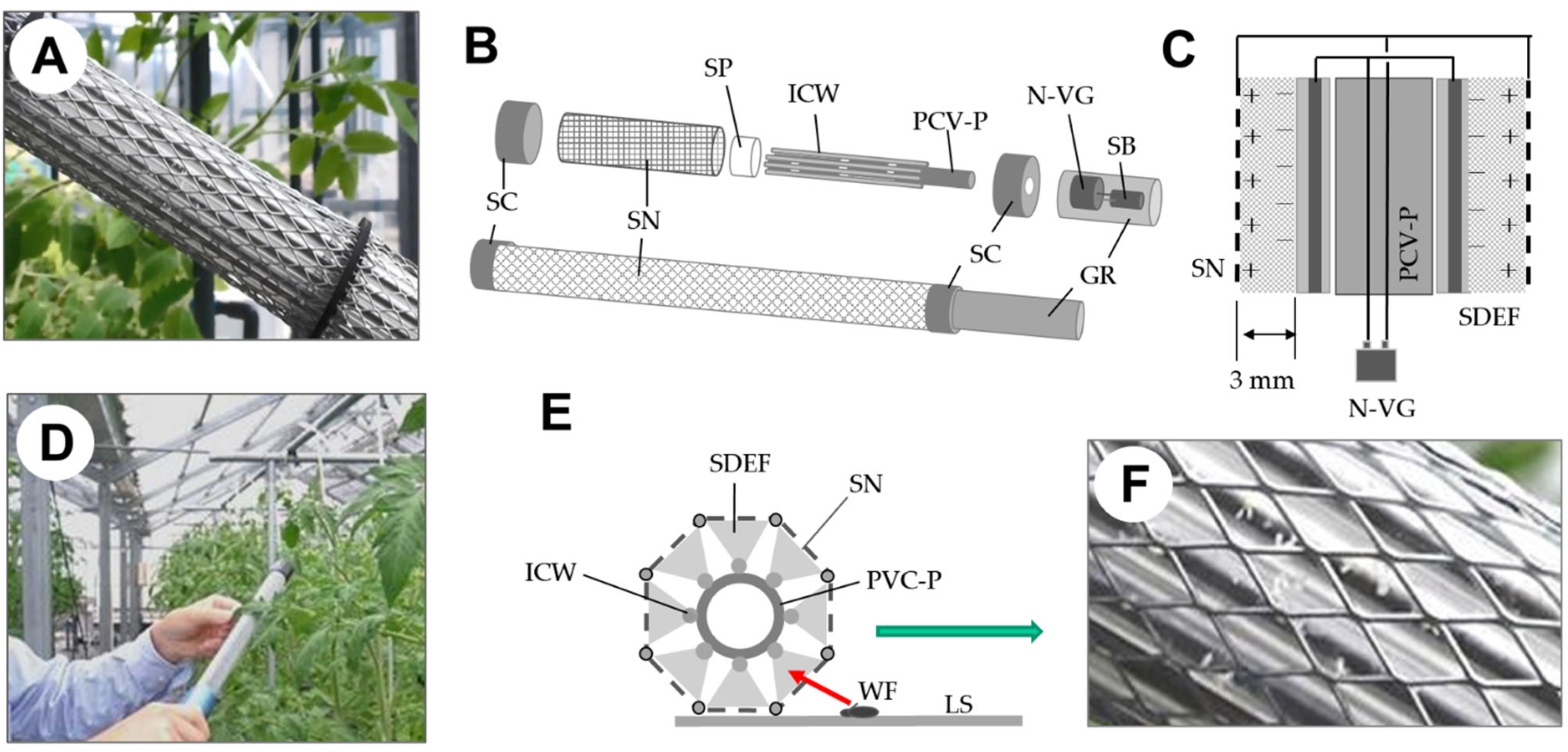 Horticulturae 08 00543 g013 Horticulturae 08 00543 g013