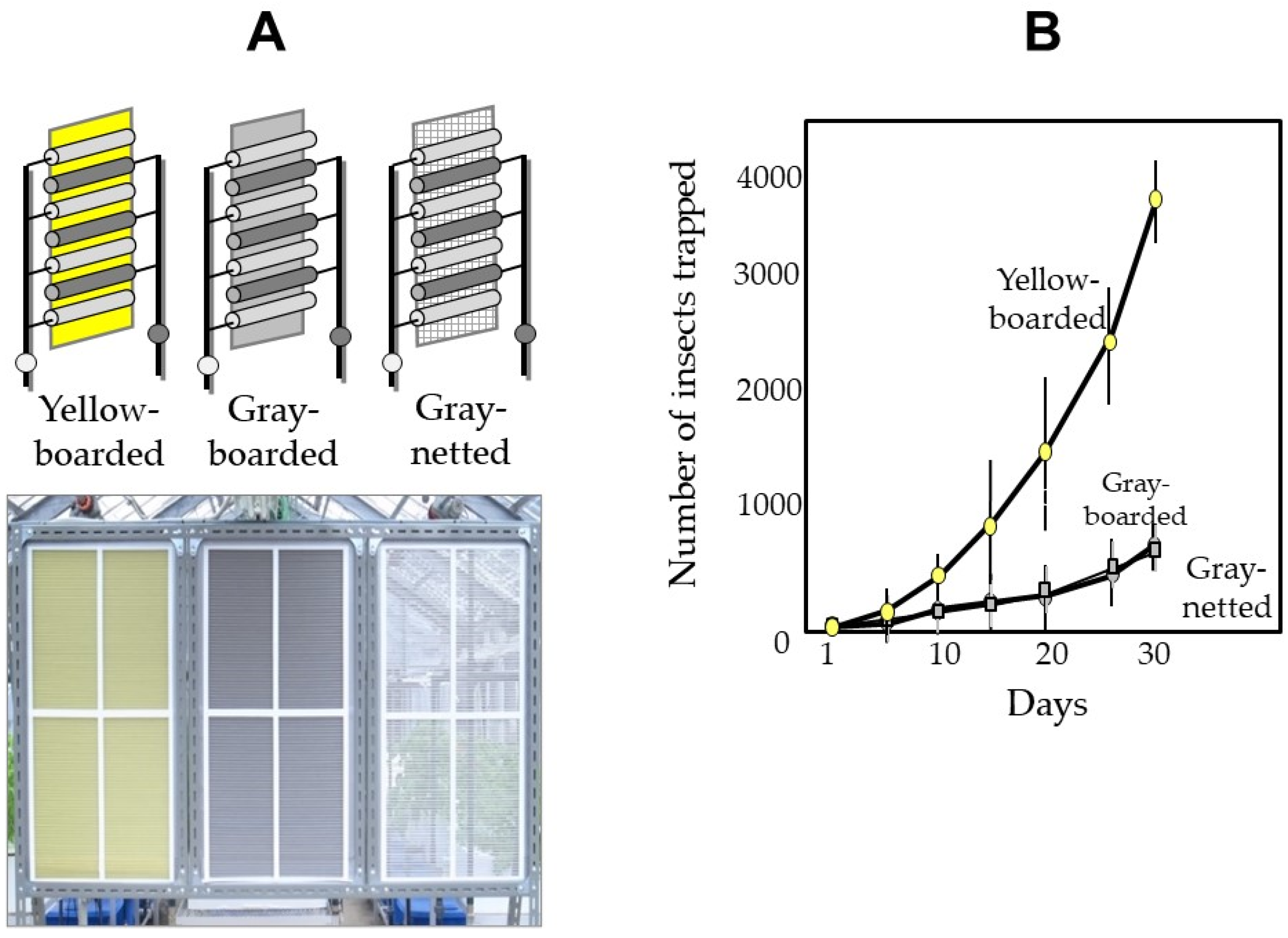 Horticulturae 08 00543 g017 Horticulturae 08 00543 g017
