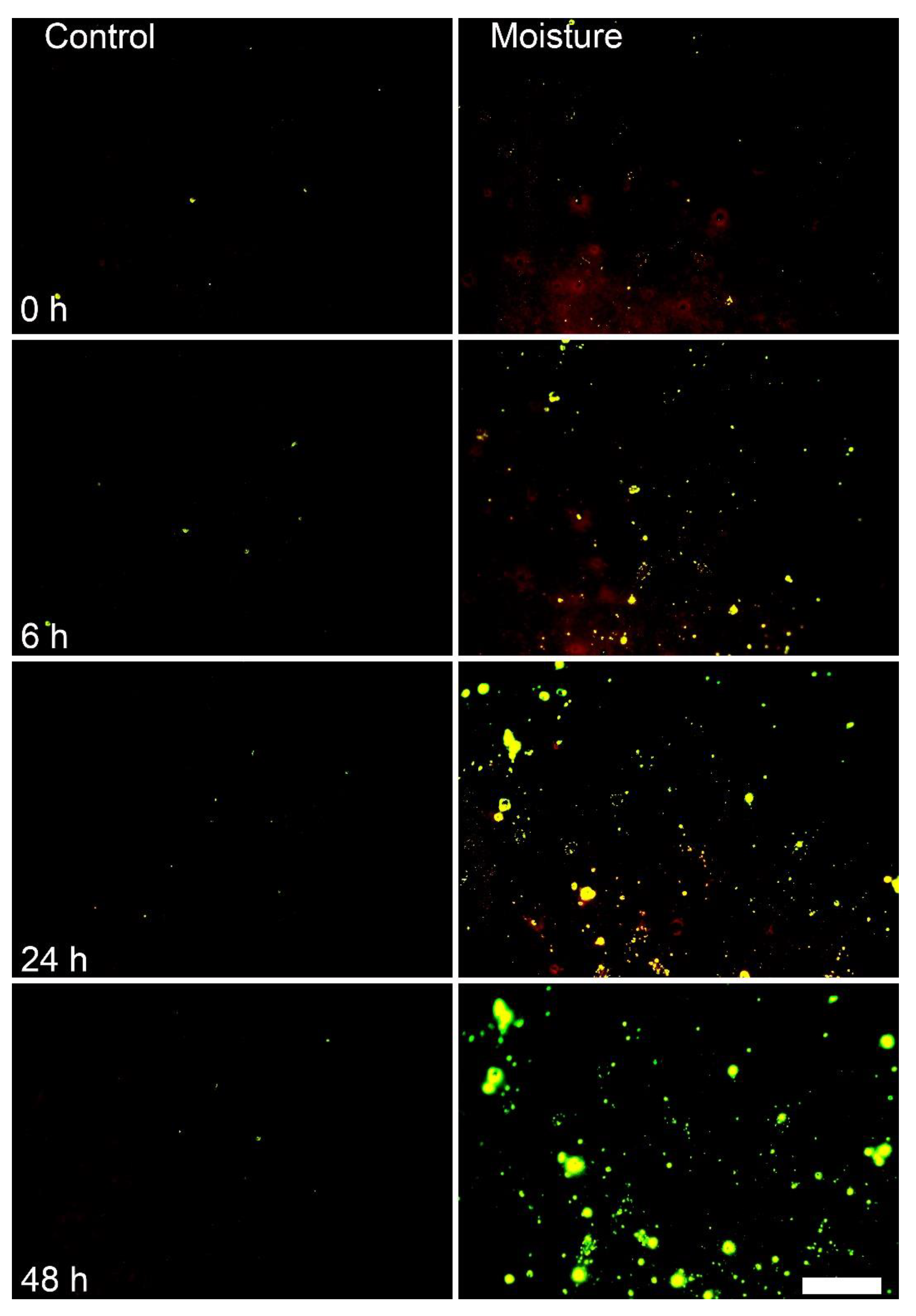 Horticulturae 08 00545 g001