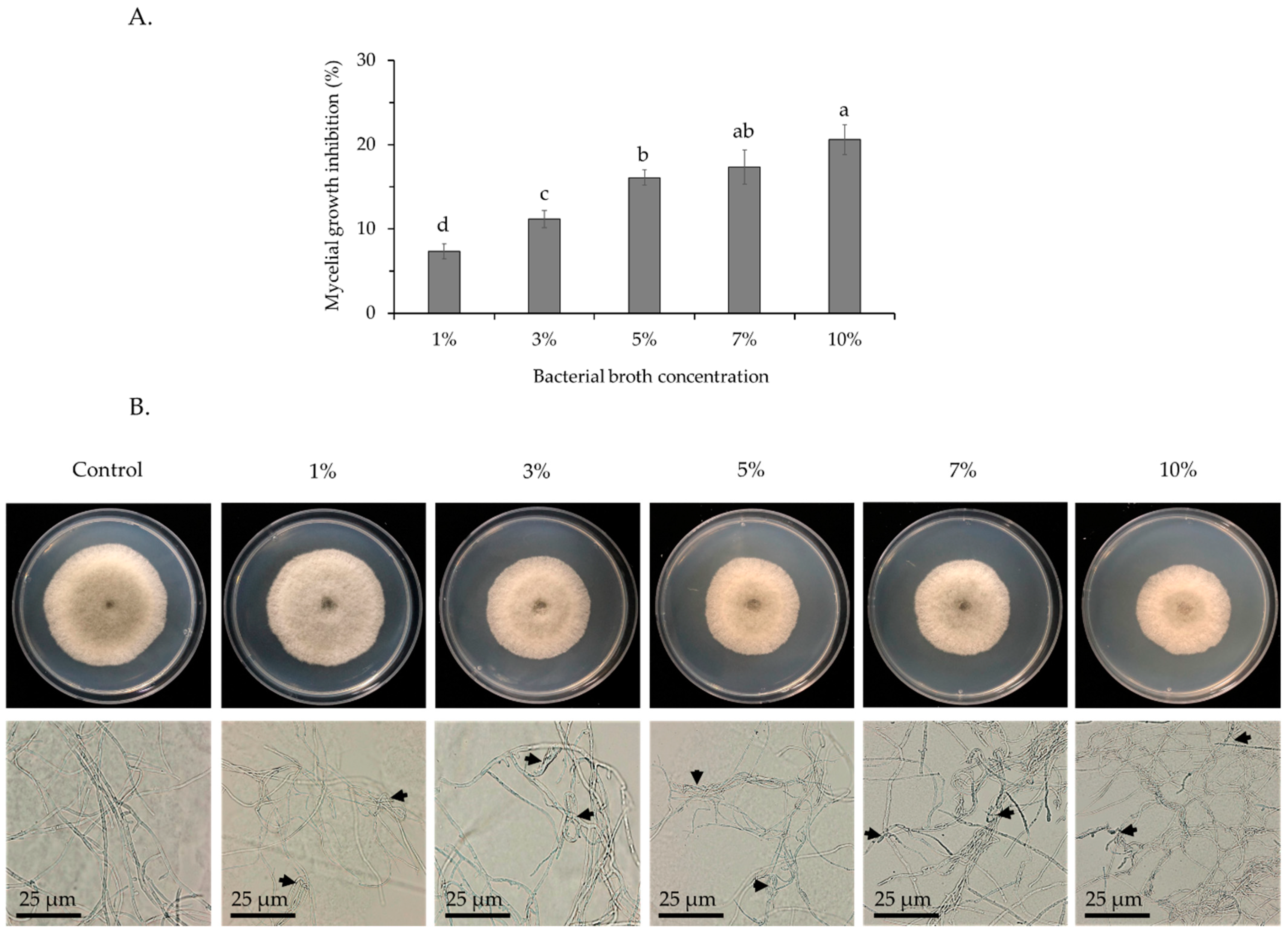 Horticulturae 08 00557 g002 550