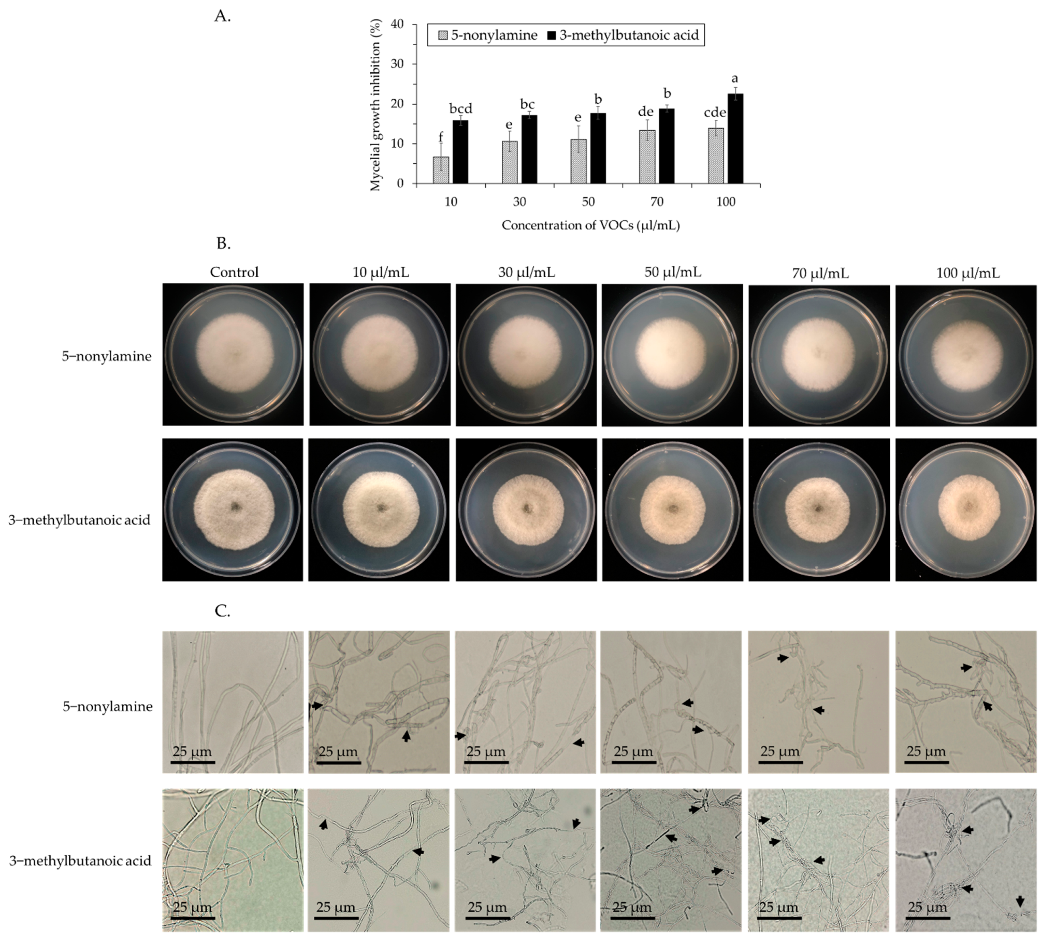 Horticulturae 08 00557 g004 550