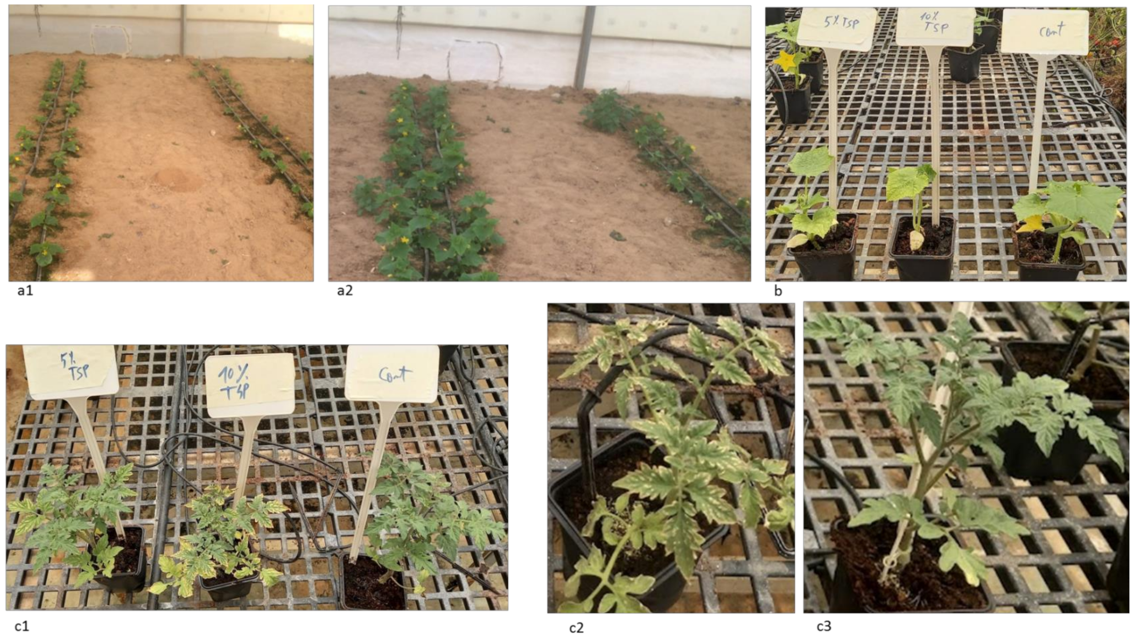 Horticulturae 08 00563 g004 550