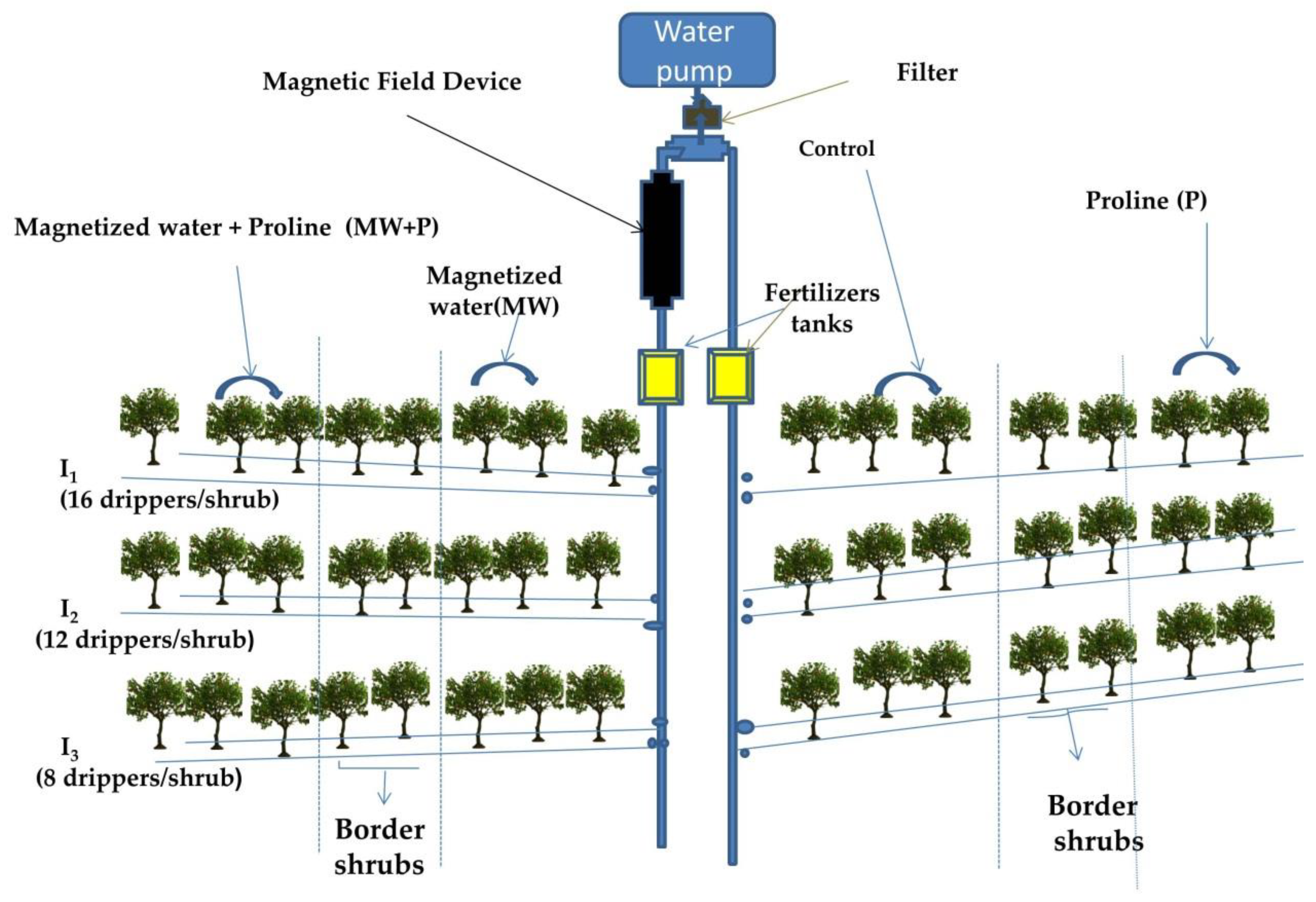Horticulturae 08 00564 g001 Horticulturae 08 00564 g001