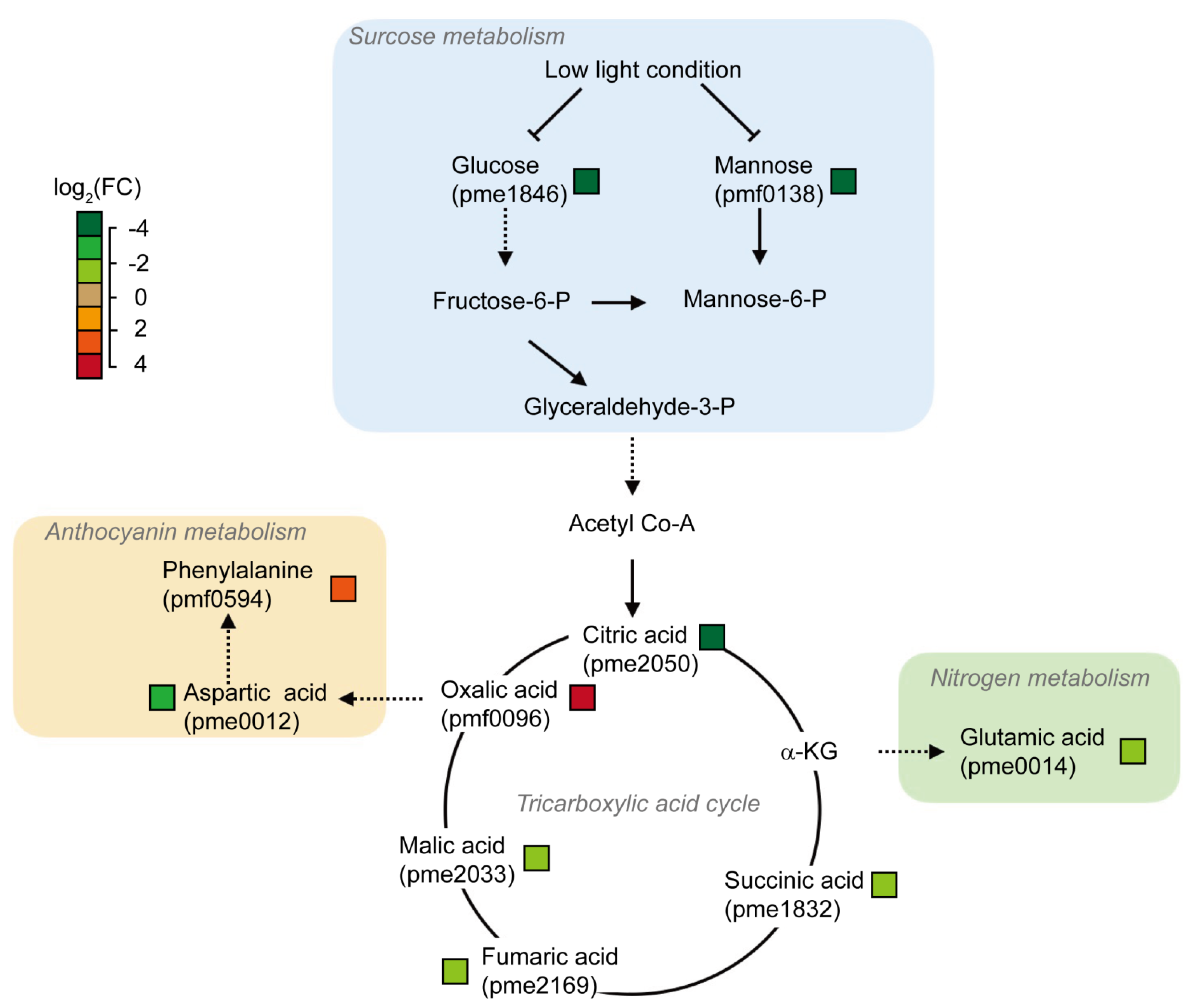 Horticulturae 08 00566 g007