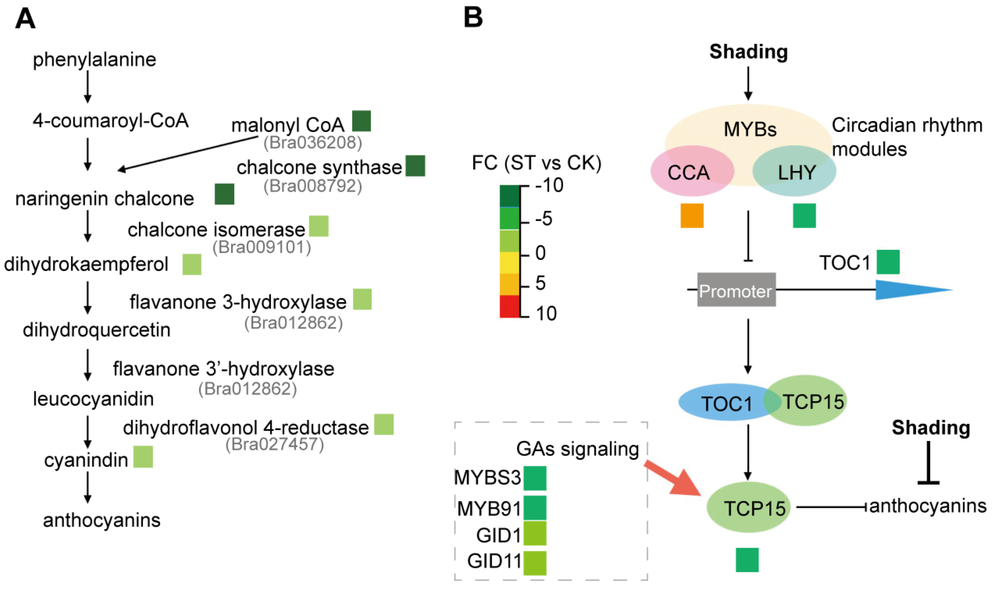 Horticulturae 08 00566 g009