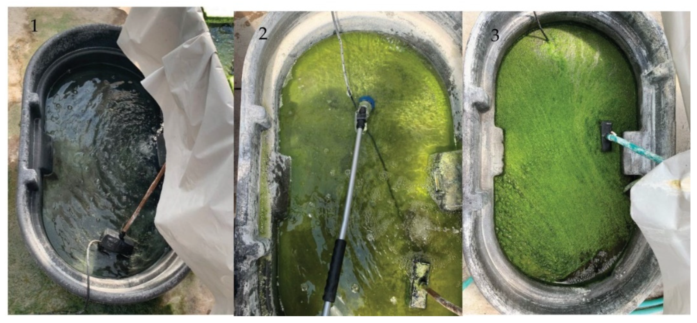 Algae Research Supply: DO - Dissolved Oxygen Meter, Milwaukee Instrume