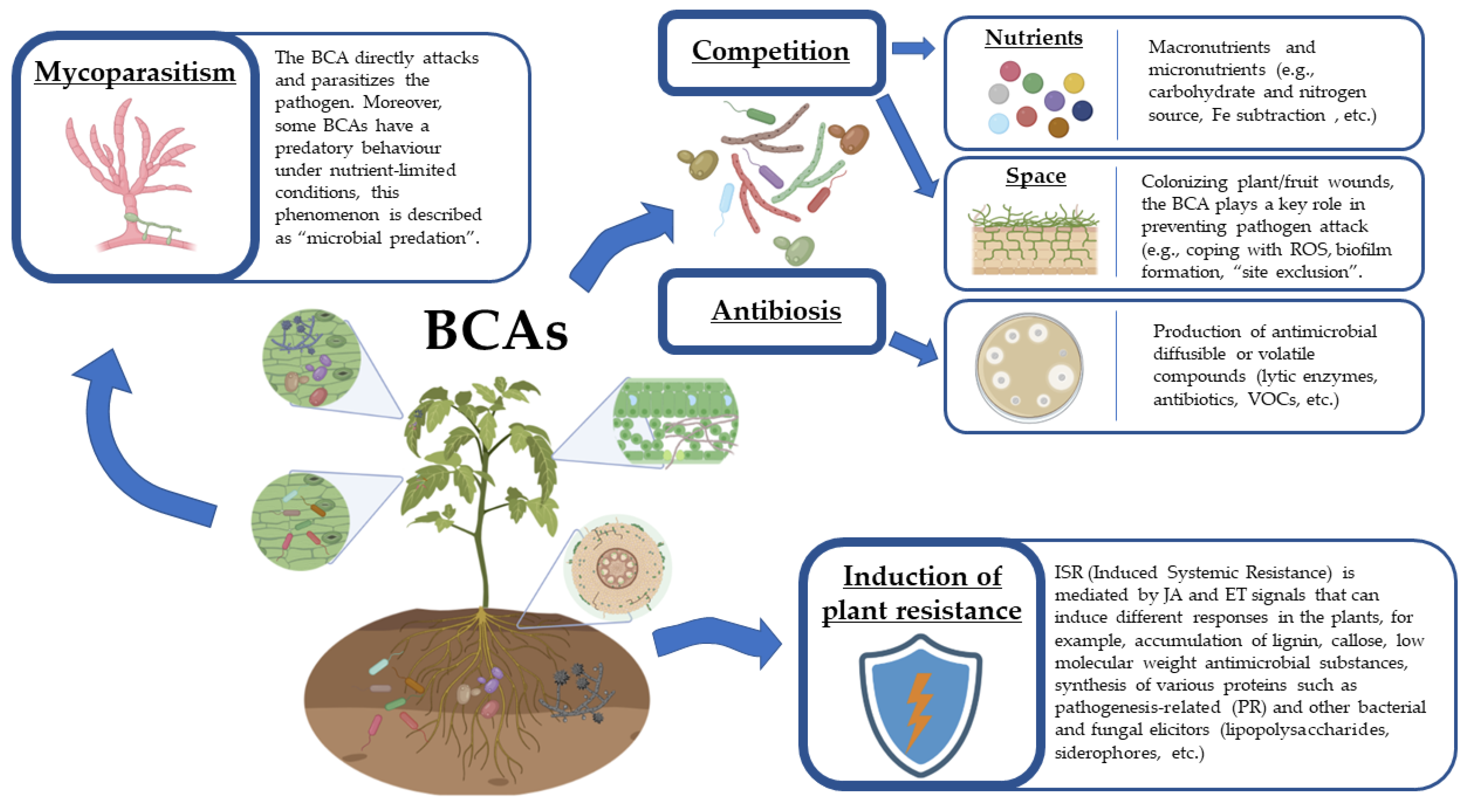 Full article: Plant Volatiles: Recent Advances and Future Perspectives