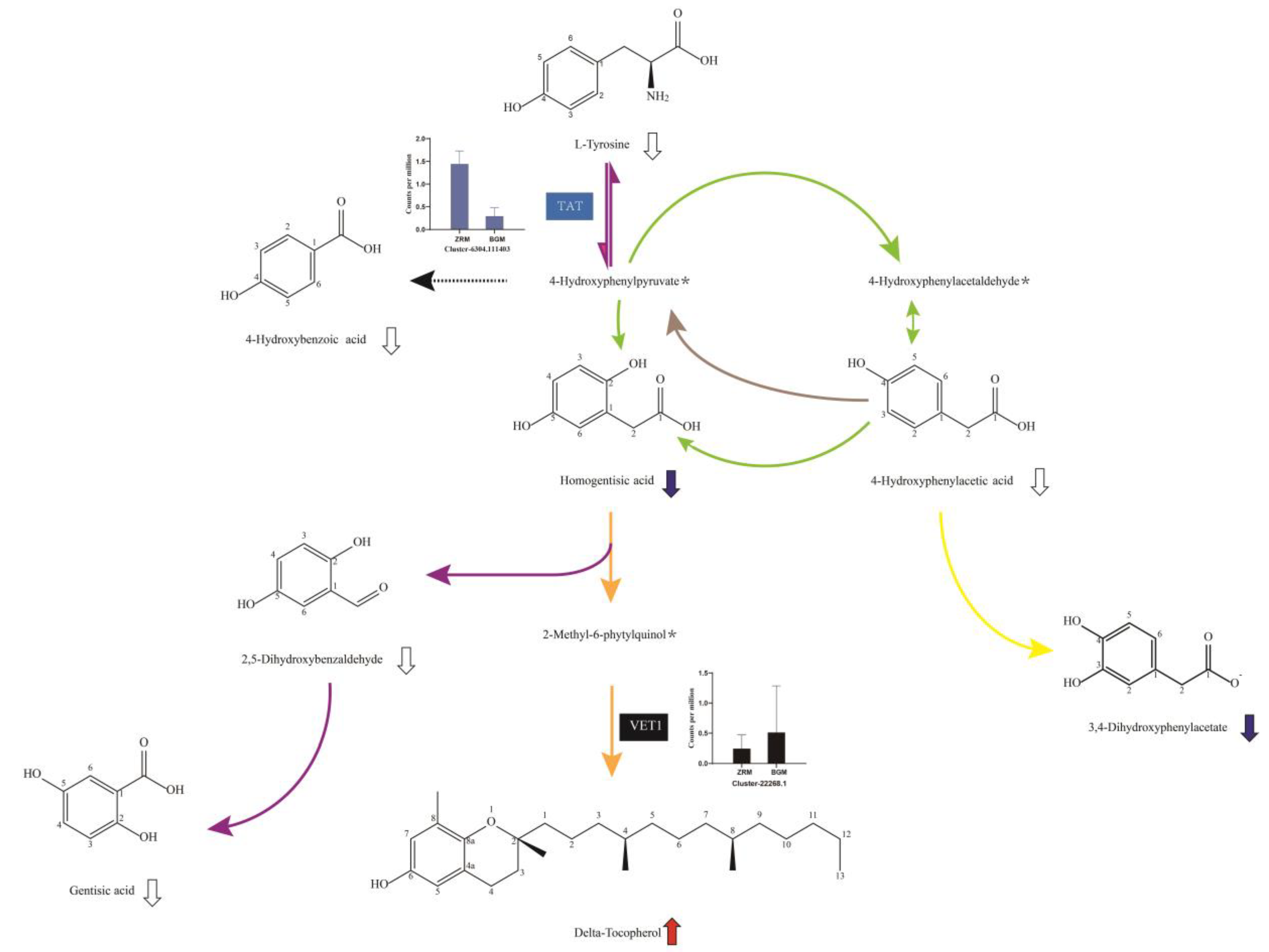 Horticulturae 08 00594 g005 550