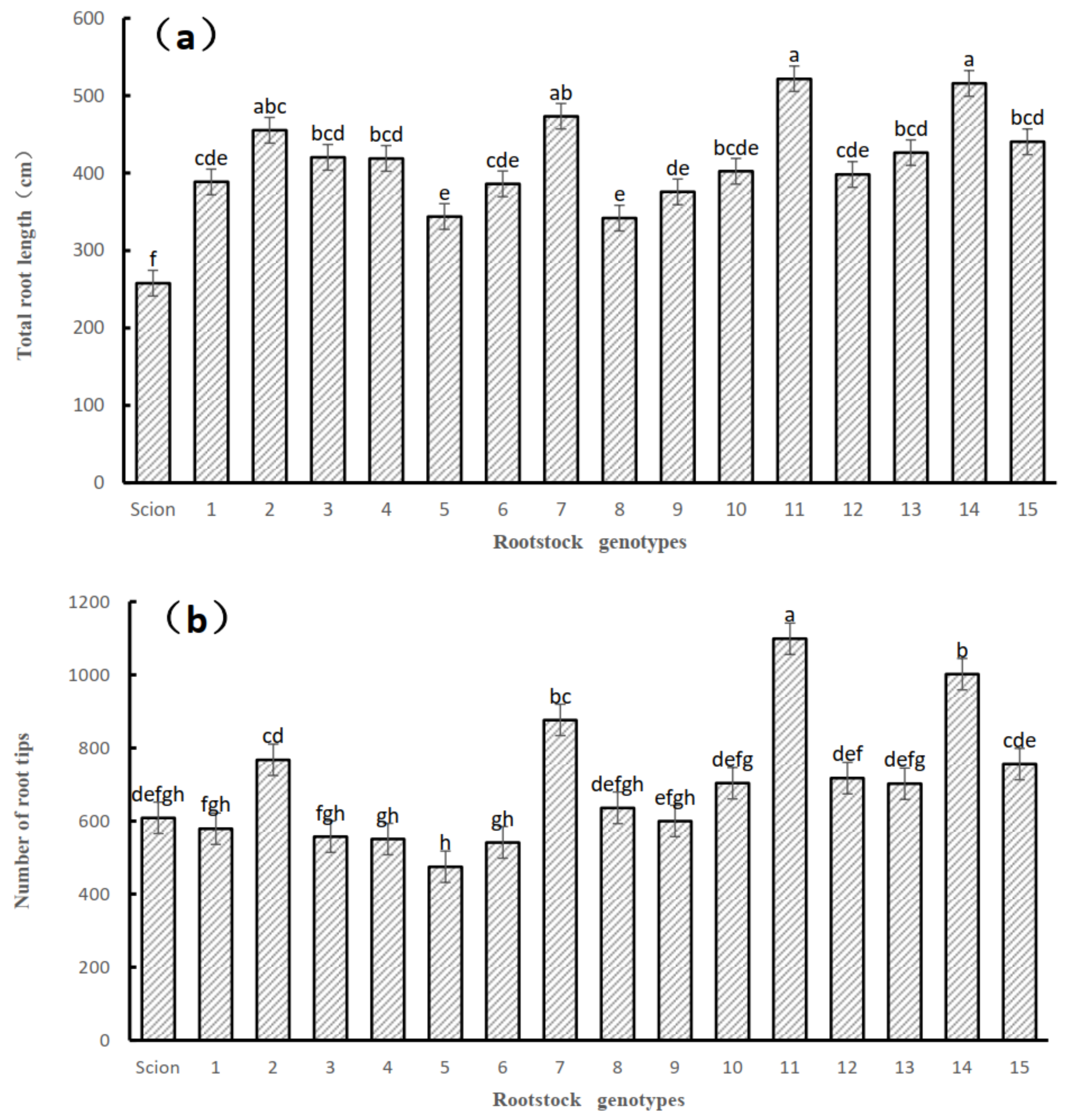 Horticulturae 08 00595 g002 550