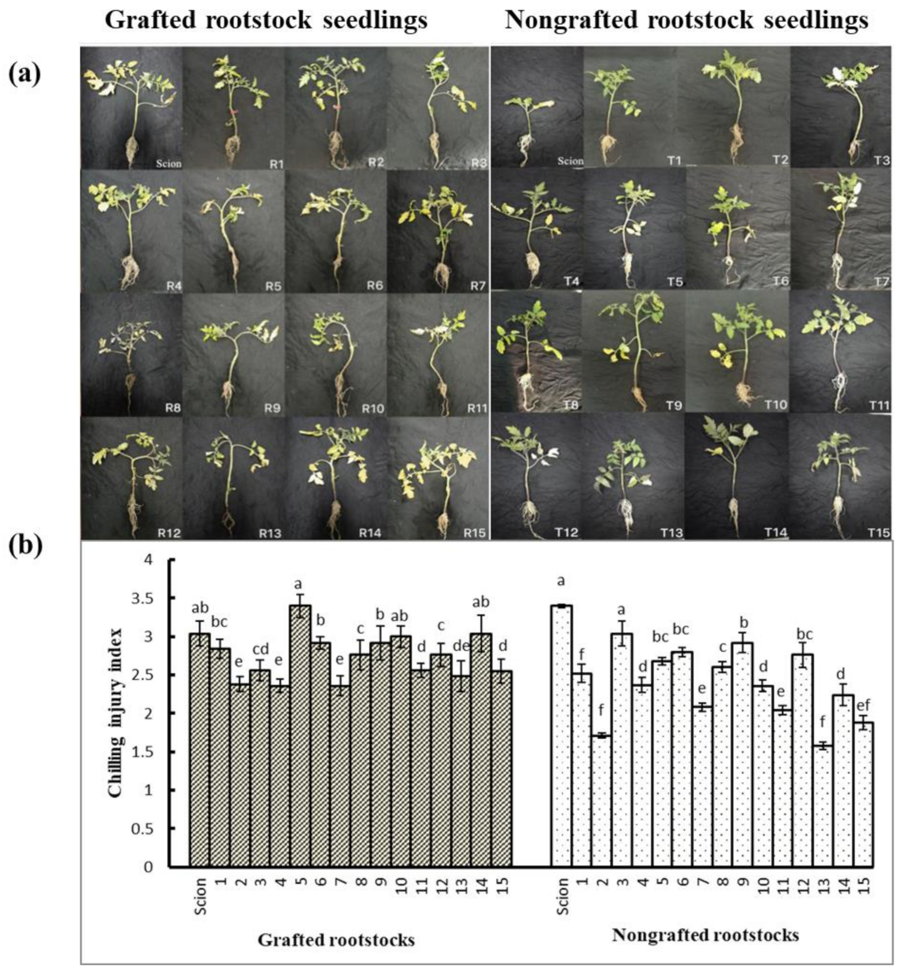 Horticulturae 08 00595 g003 550