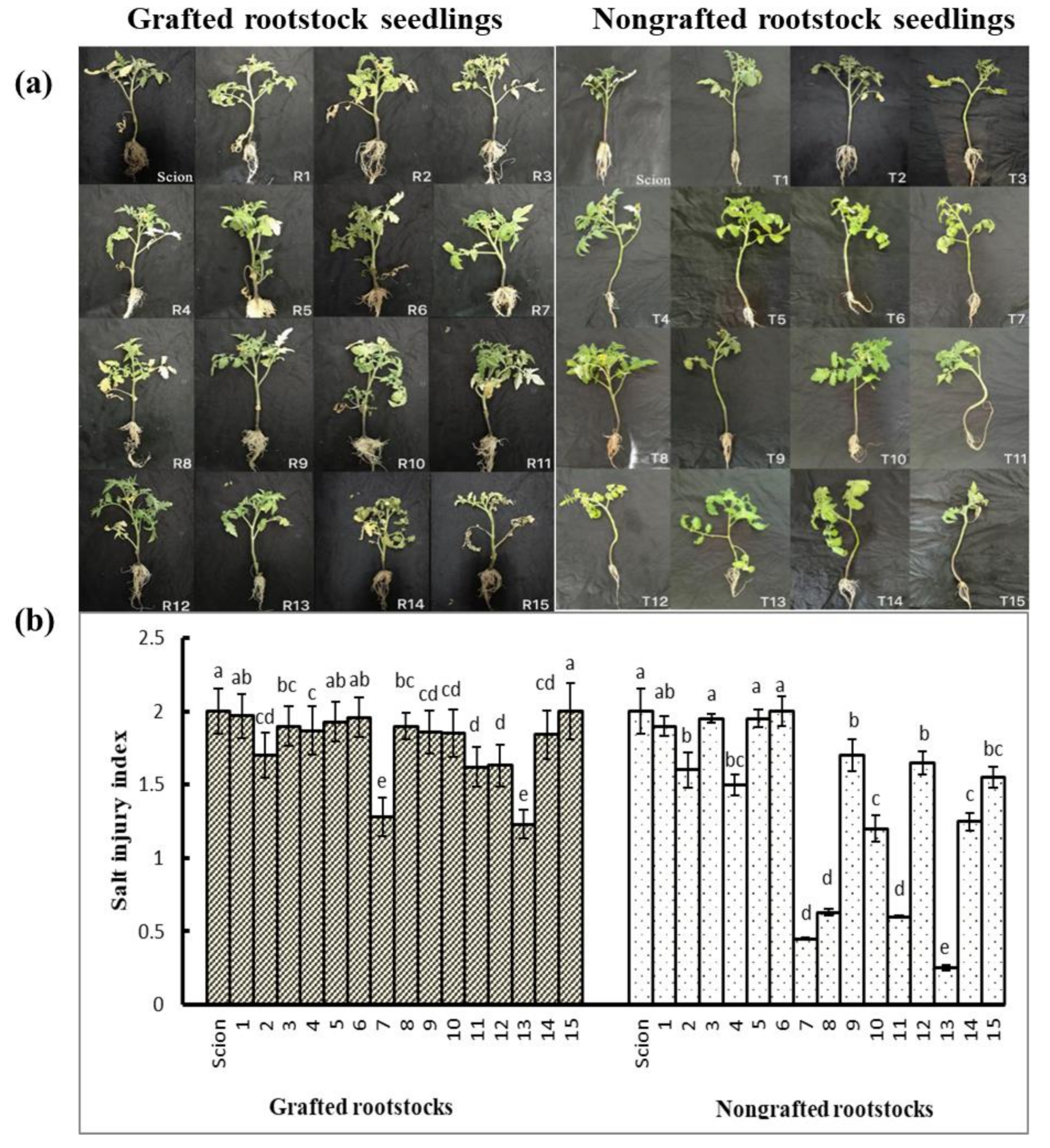 Horticulturae 08 00595 g004 550