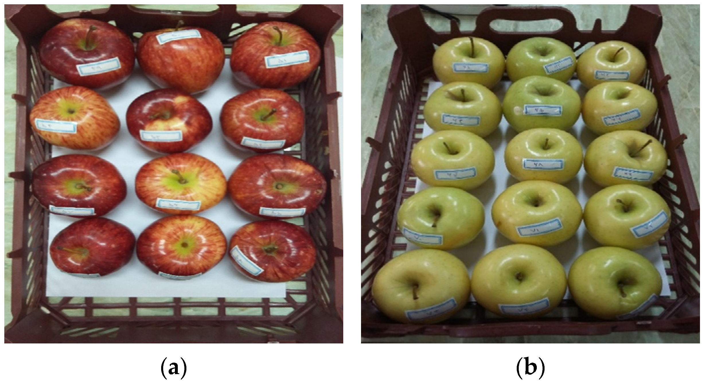 Horticulturae 08 00598 g001 550