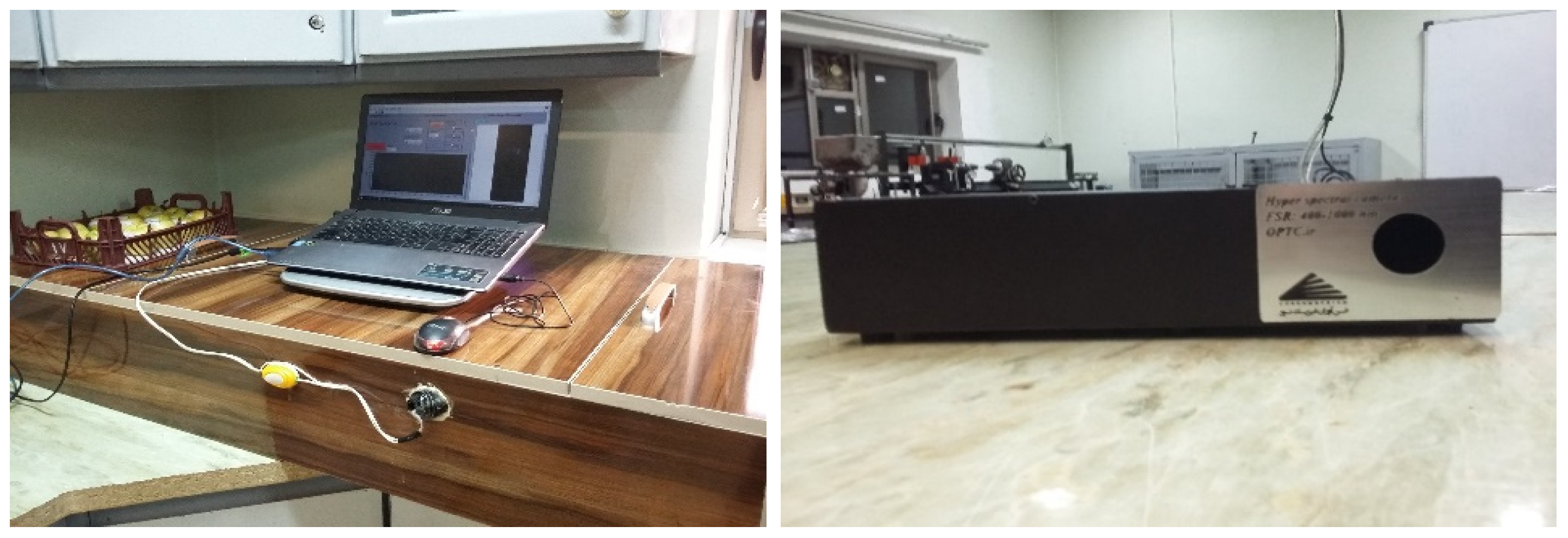 Horticulturae 08 00598 g002 550