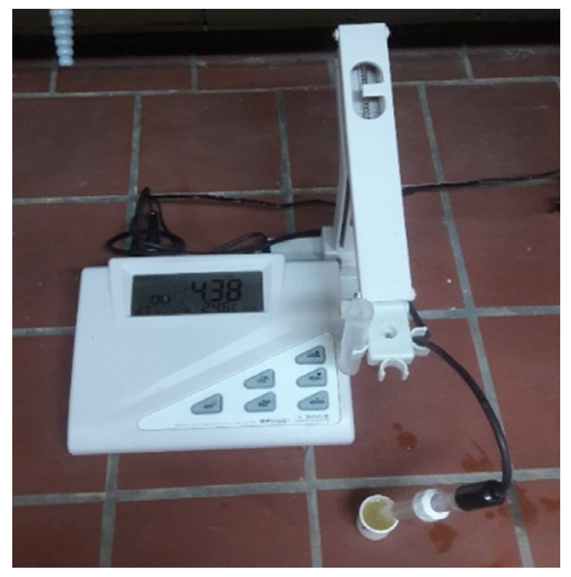 Horticulturae 08 00598 g003 550