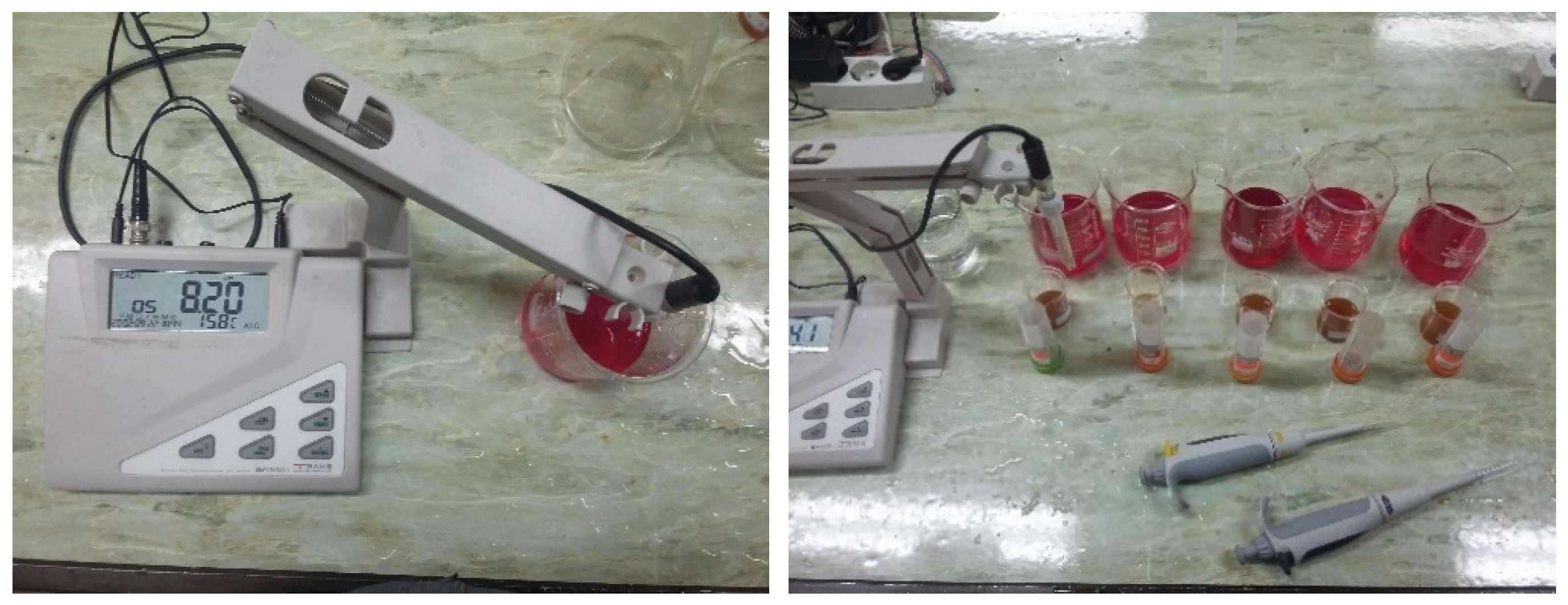 Horticulturae 08 00598 g004 550