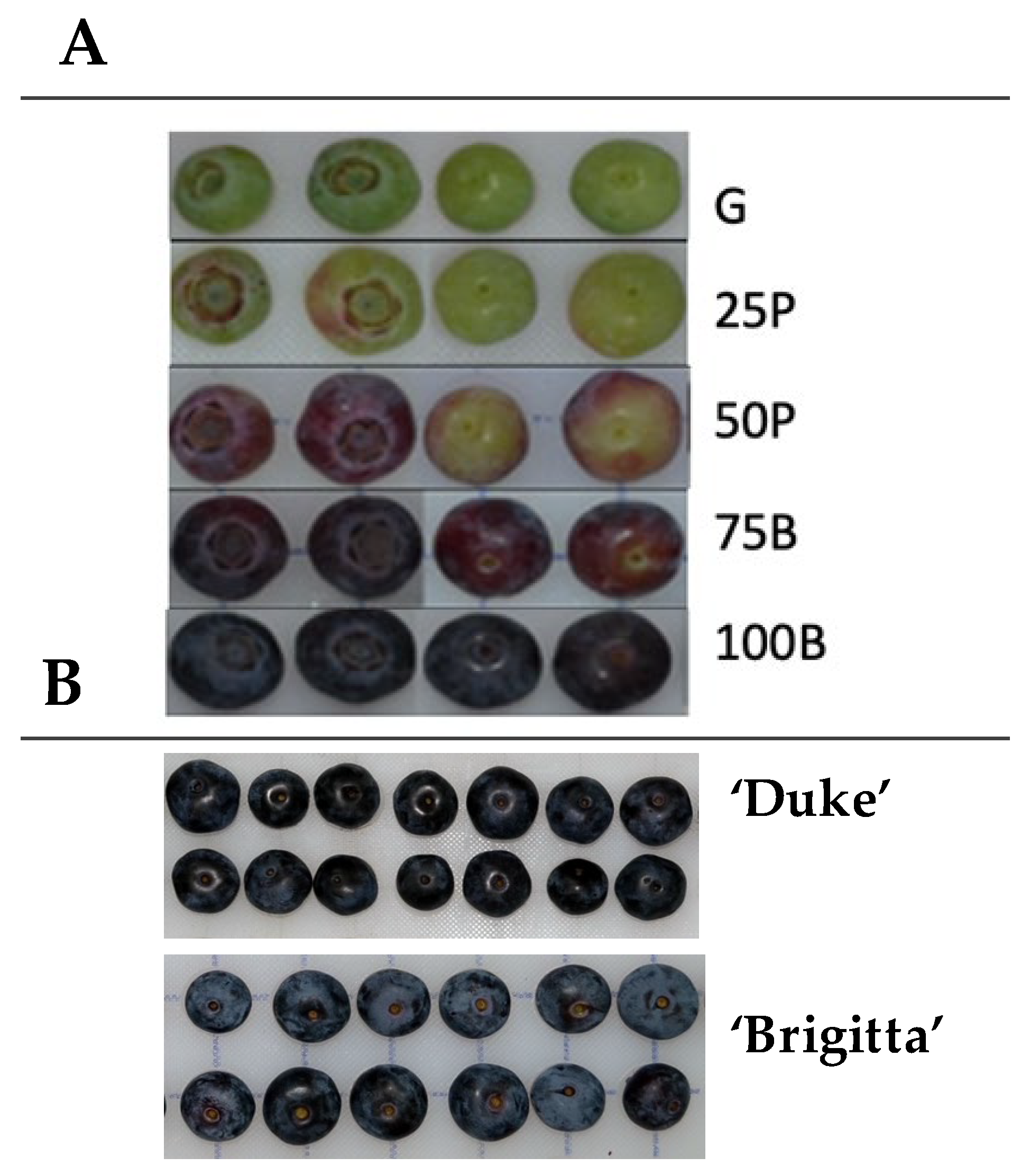 Horticulturae 08 00607 g001