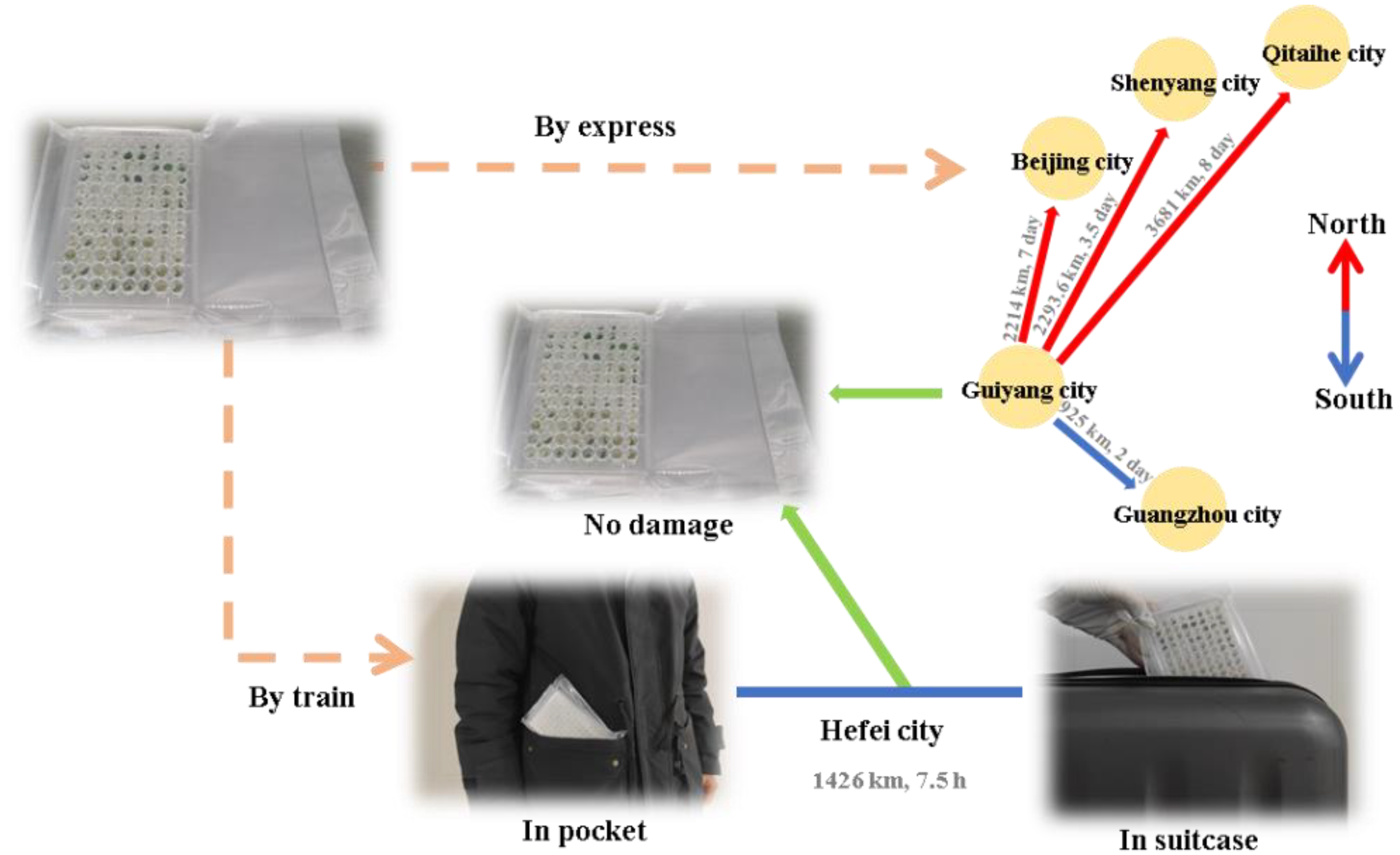 Horticulturae 08 00609 g008