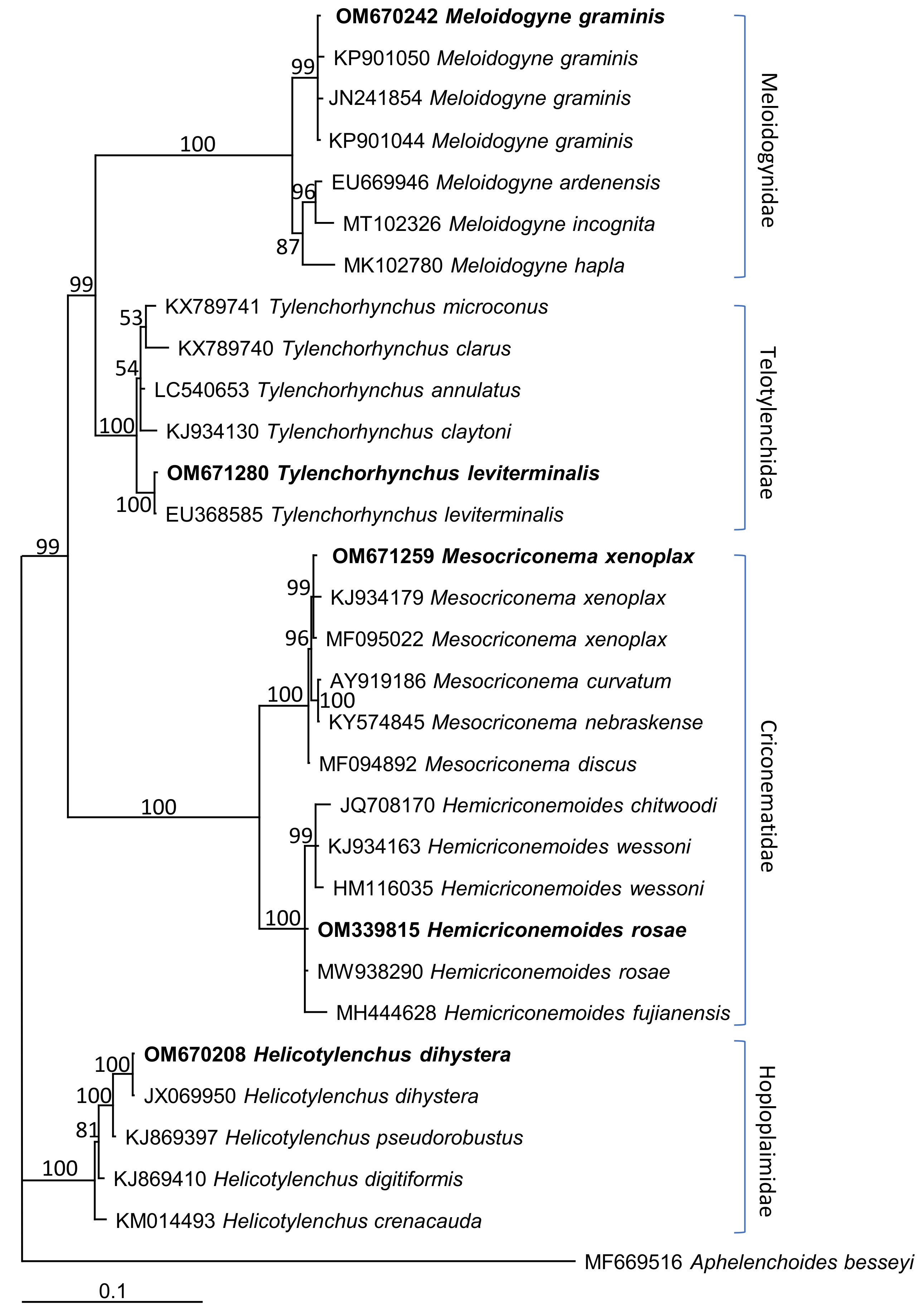 Horticulturae 08 00611 g006 550