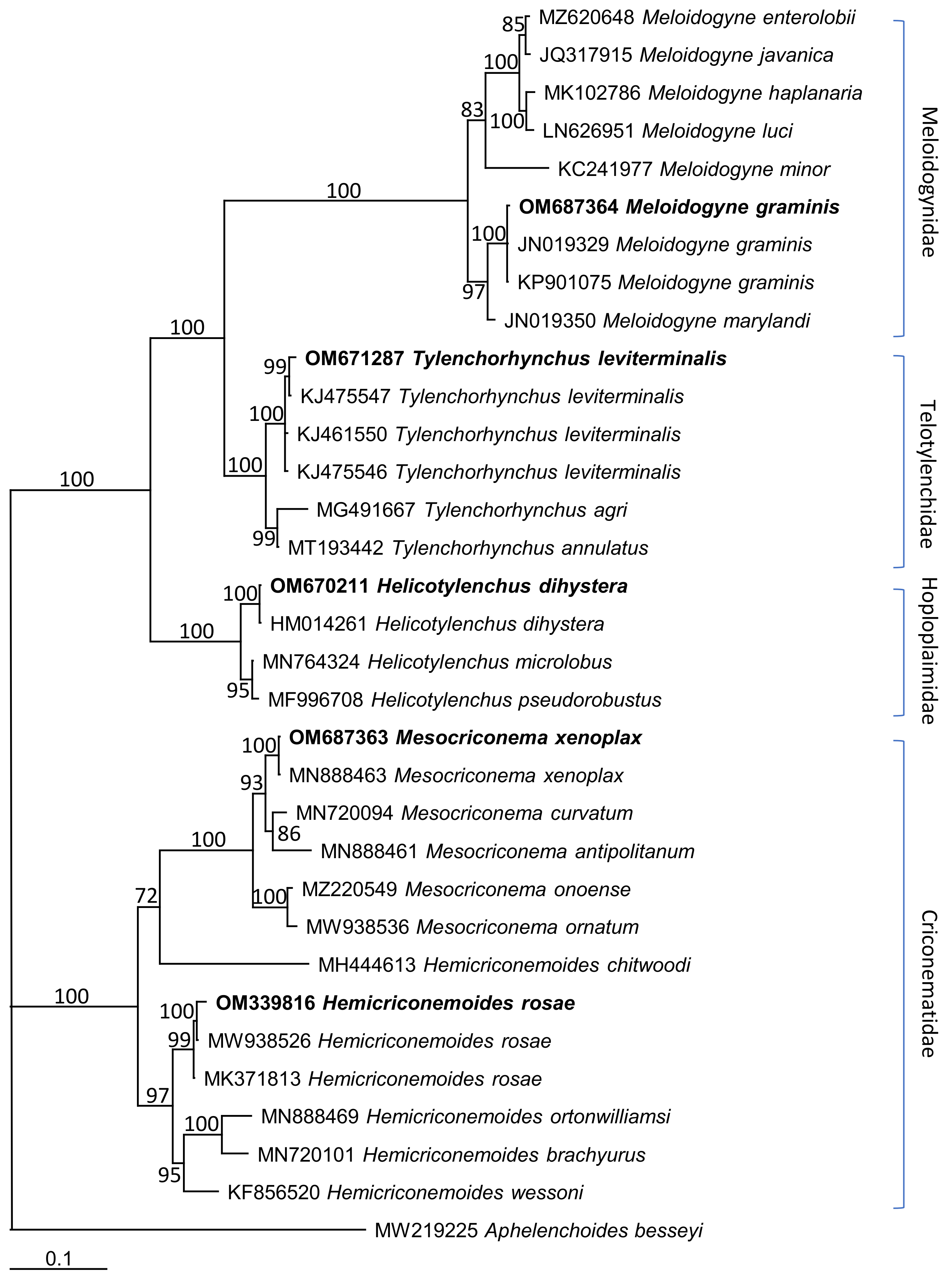 Horticulturae 08 00611 g007 550