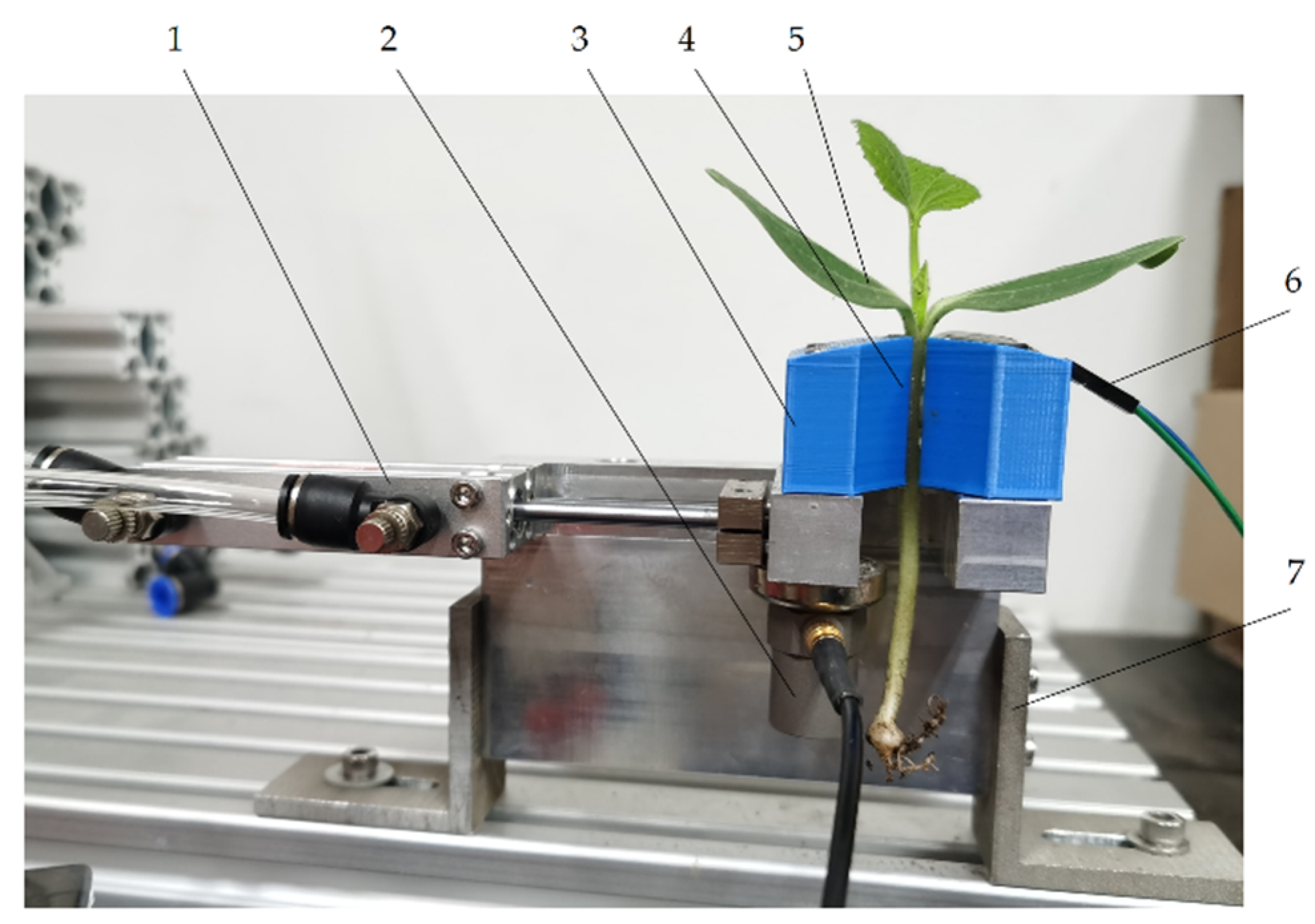 Horticulturae 08 00617 g010
