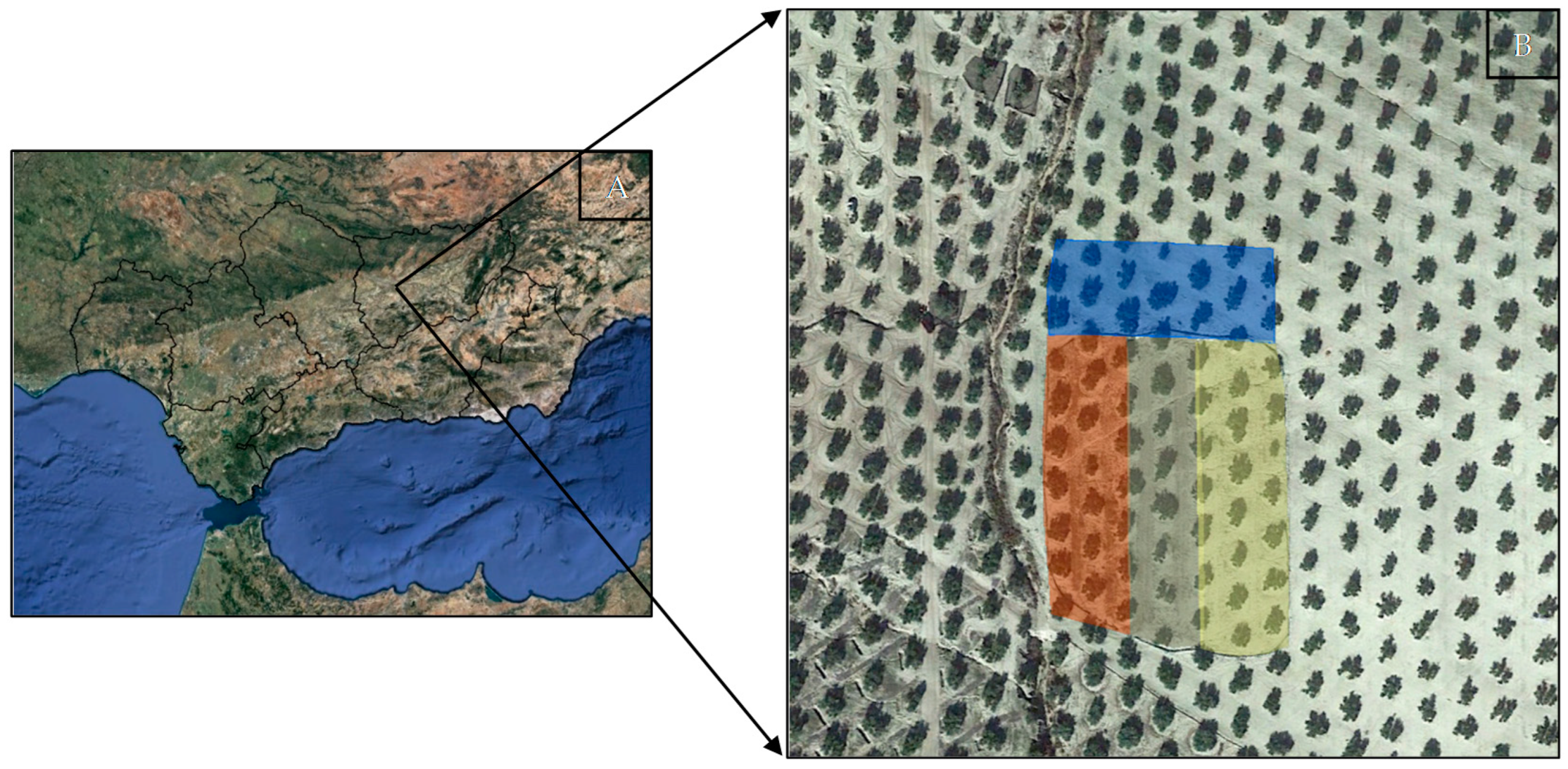 Horticulturae 08 00618 g001