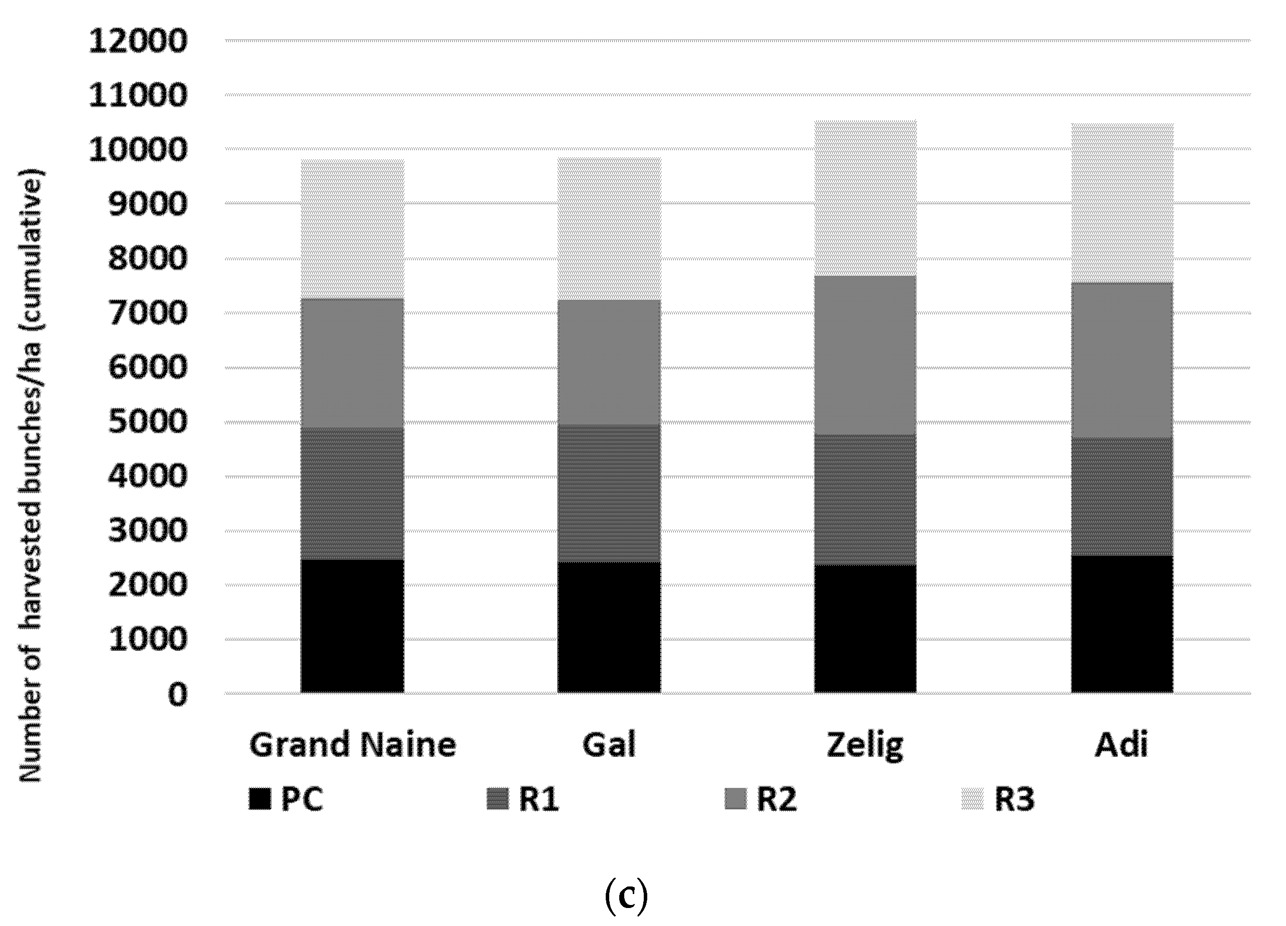 Horticulturae 08 00619 g001b