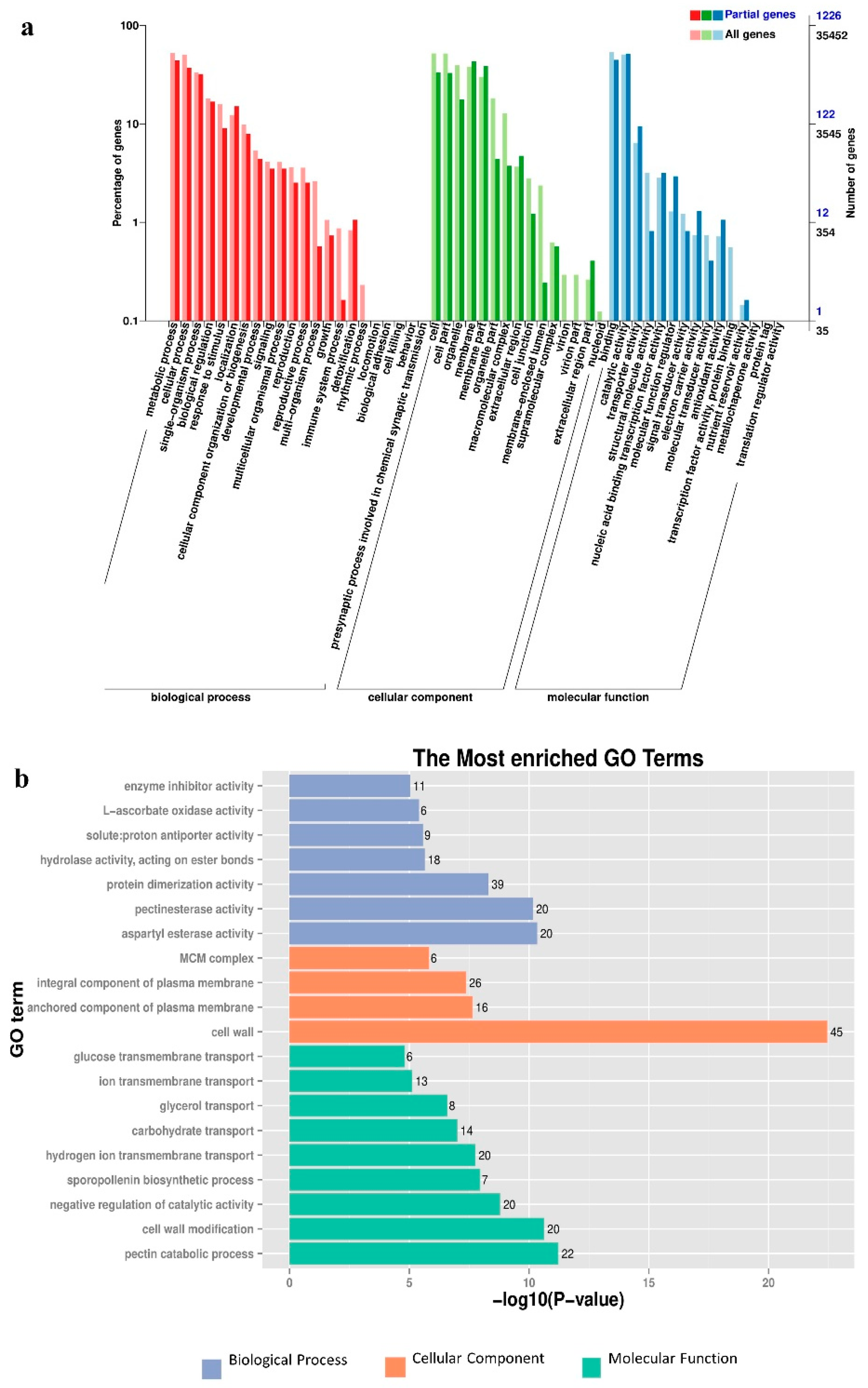 Horticulturae 08 00625 g004 Horticulturae 08 00625 g004