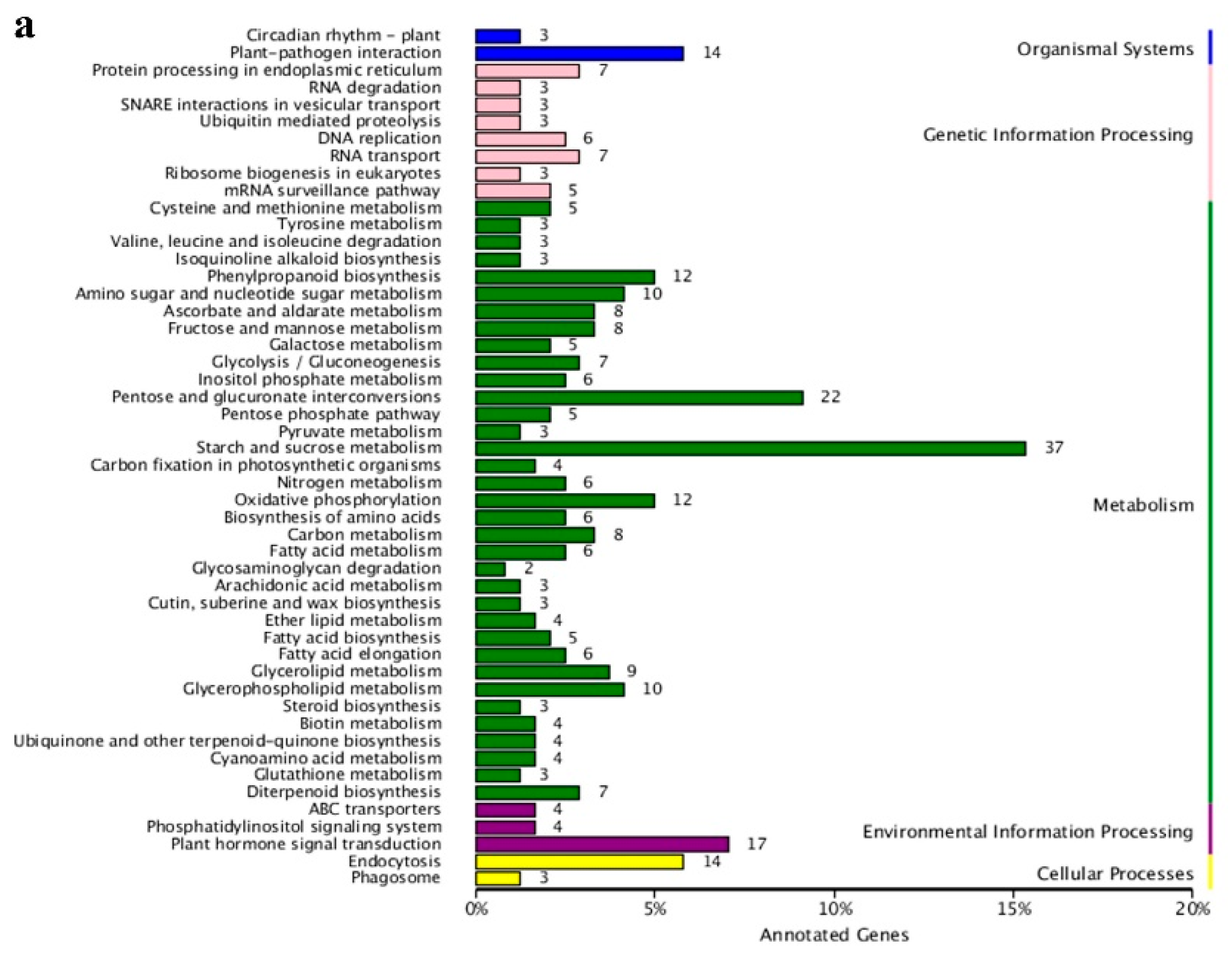 Horticulturae 08 00625 g005a Horticulturae 08 00625 g005a