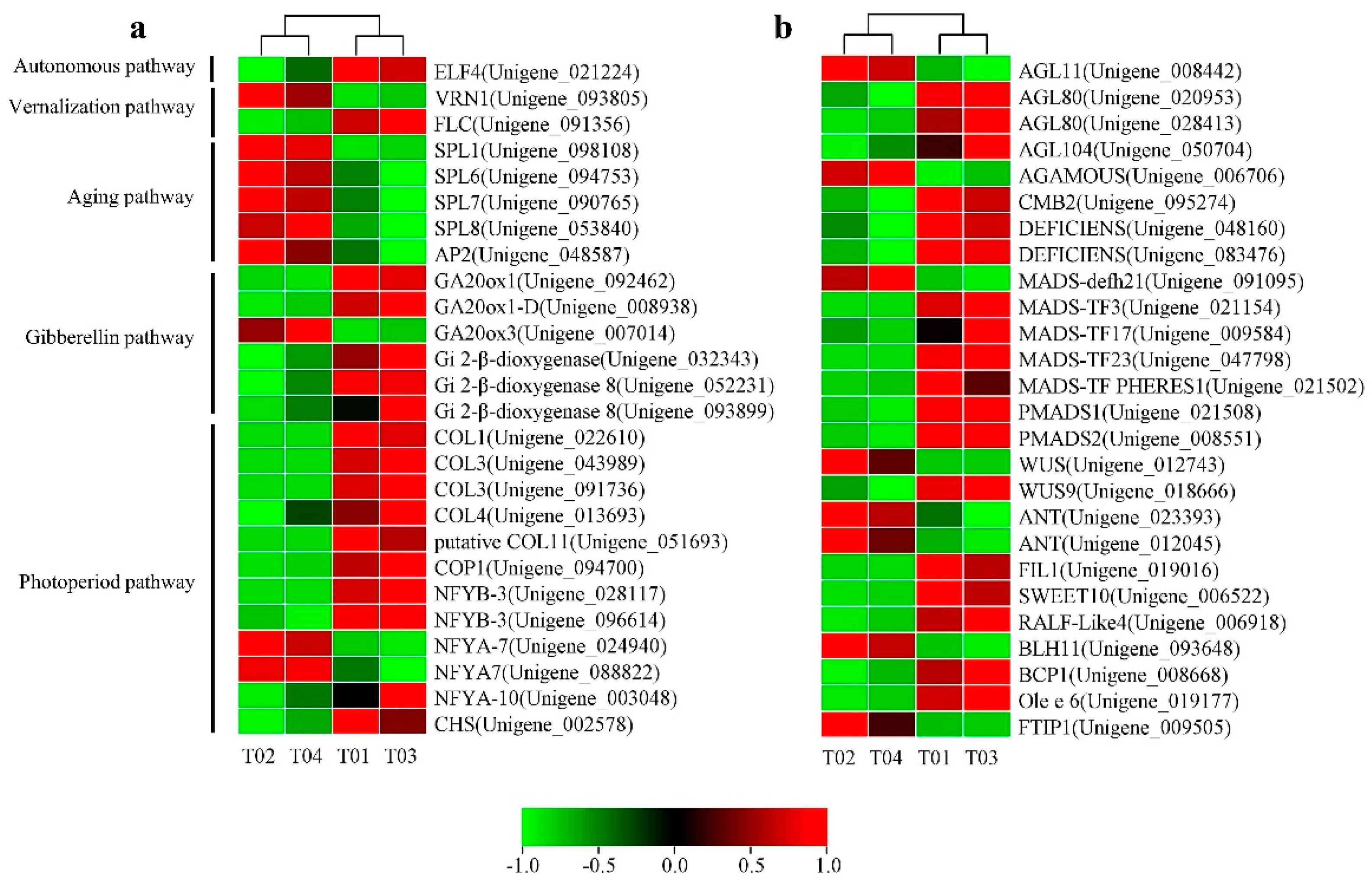 Horticulturae 08 00625 g006 Horticulturae 08 00625 g006