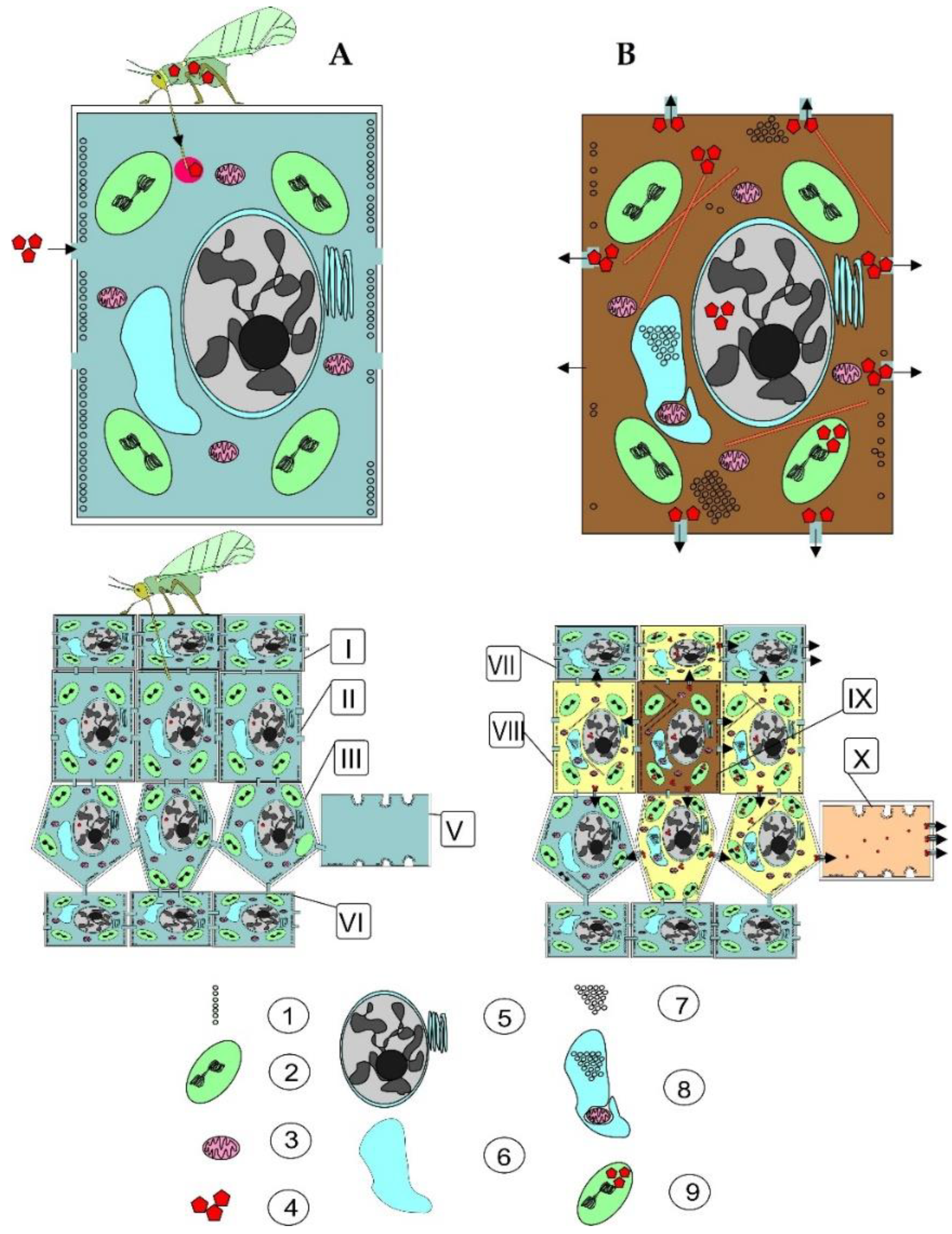 Horticulturae 08 00629 g001 Horticulturae 08 00629 g001