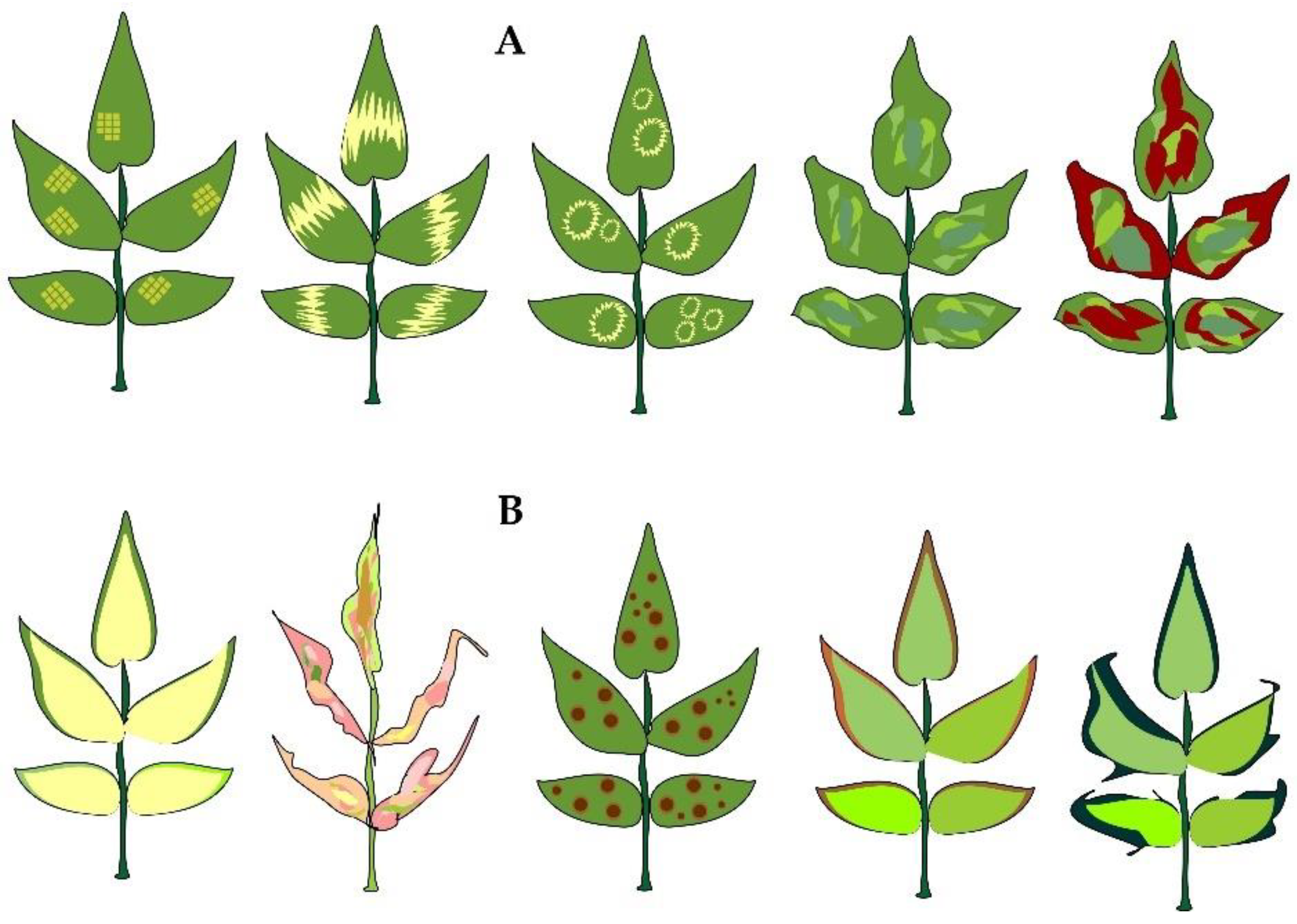 Horticulturae 08 00629 g002 Horticulturae 08 00629 g002