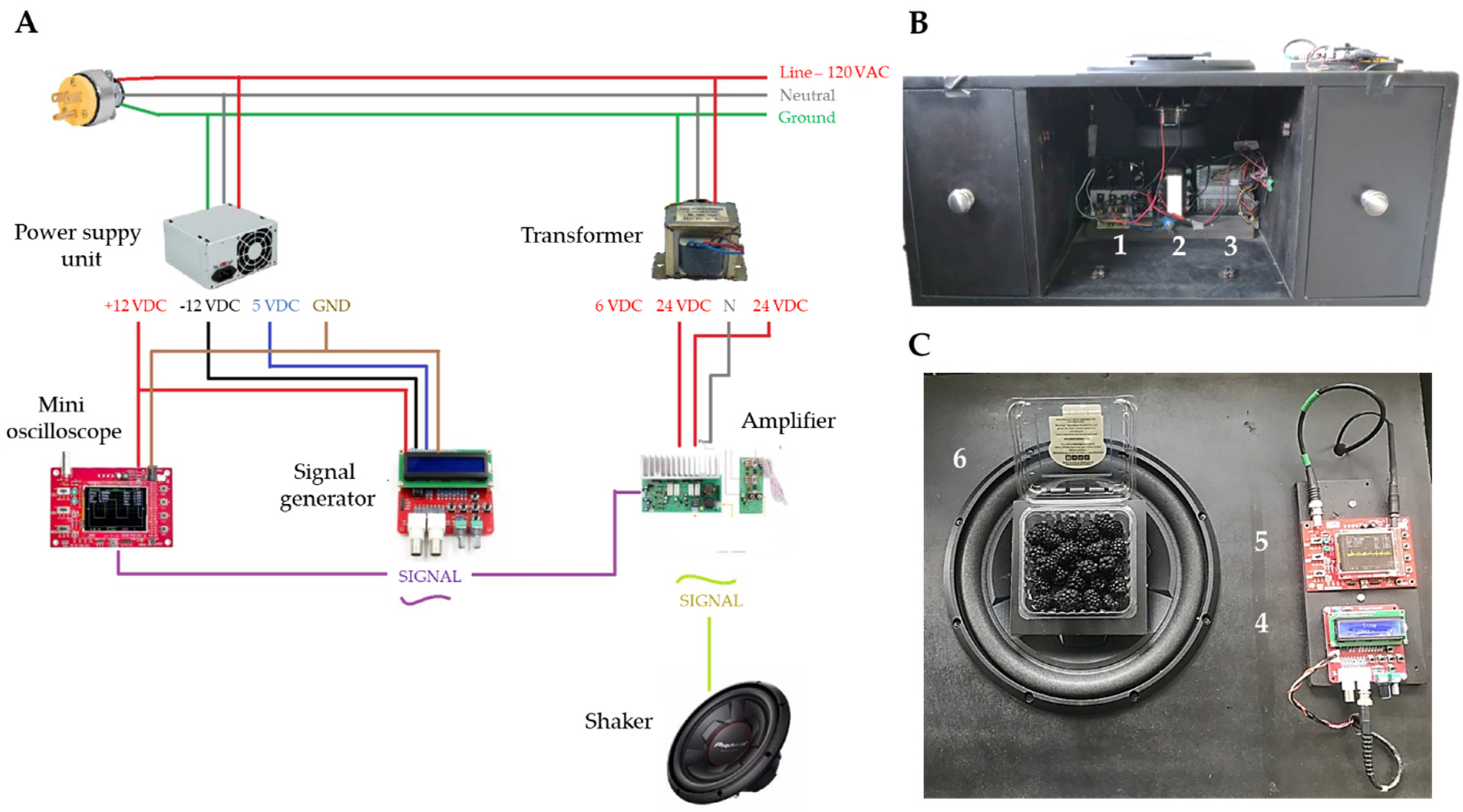 Horticulturae 08 00631 g001 550