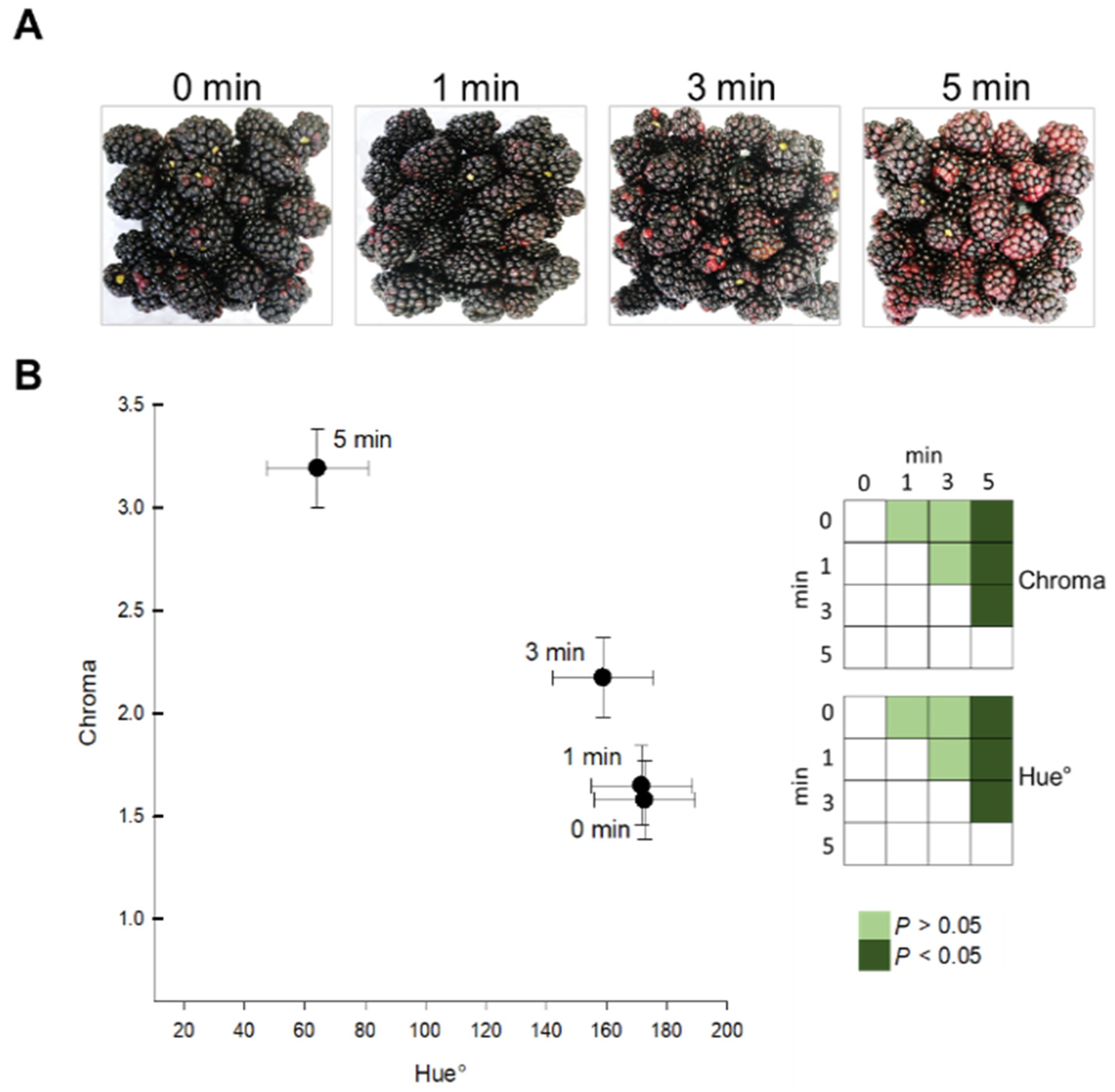 Horticulturae 08 00631 g002 550